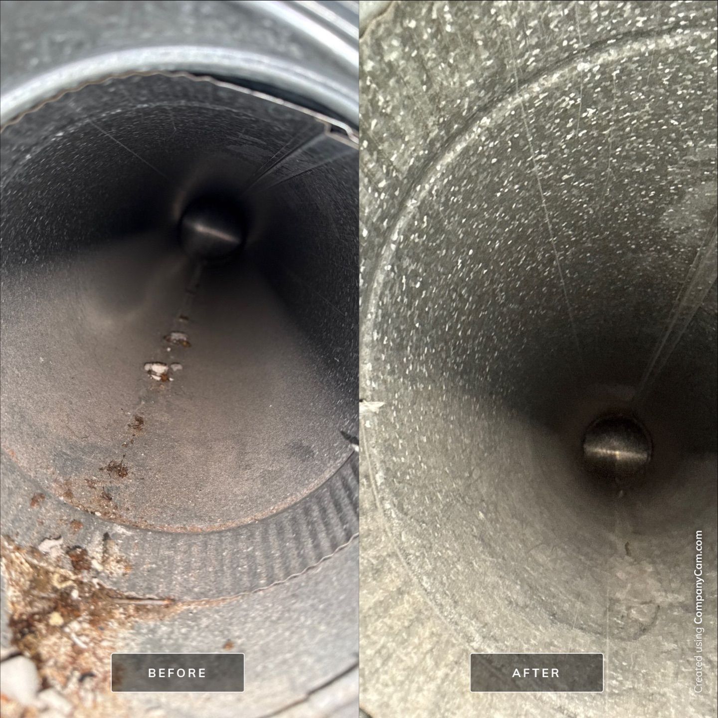 Project in Auburn by Voyager Air Duct Cleaning