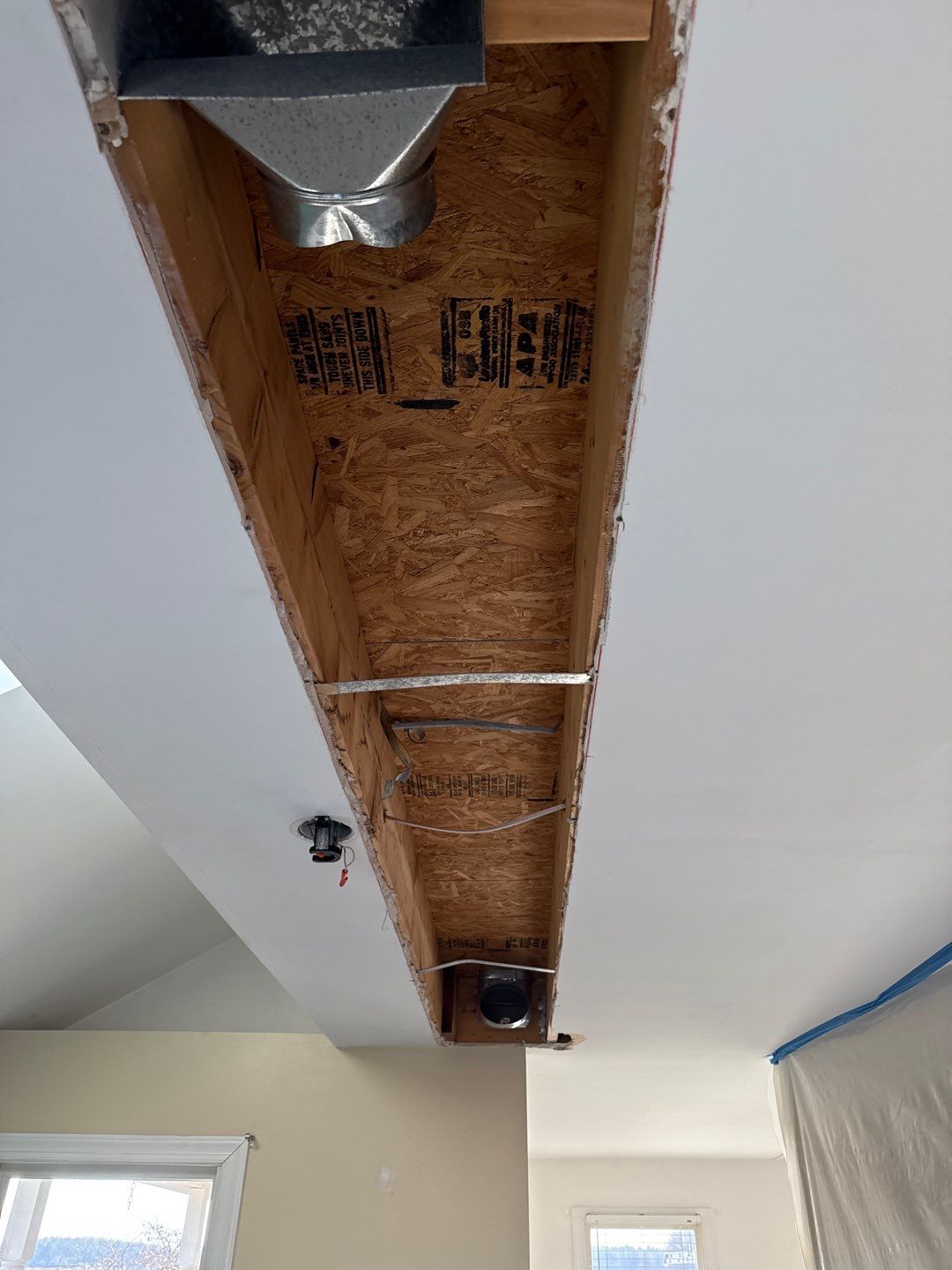 Mold in Air Ducts Remediation by Healthy Home Solutions