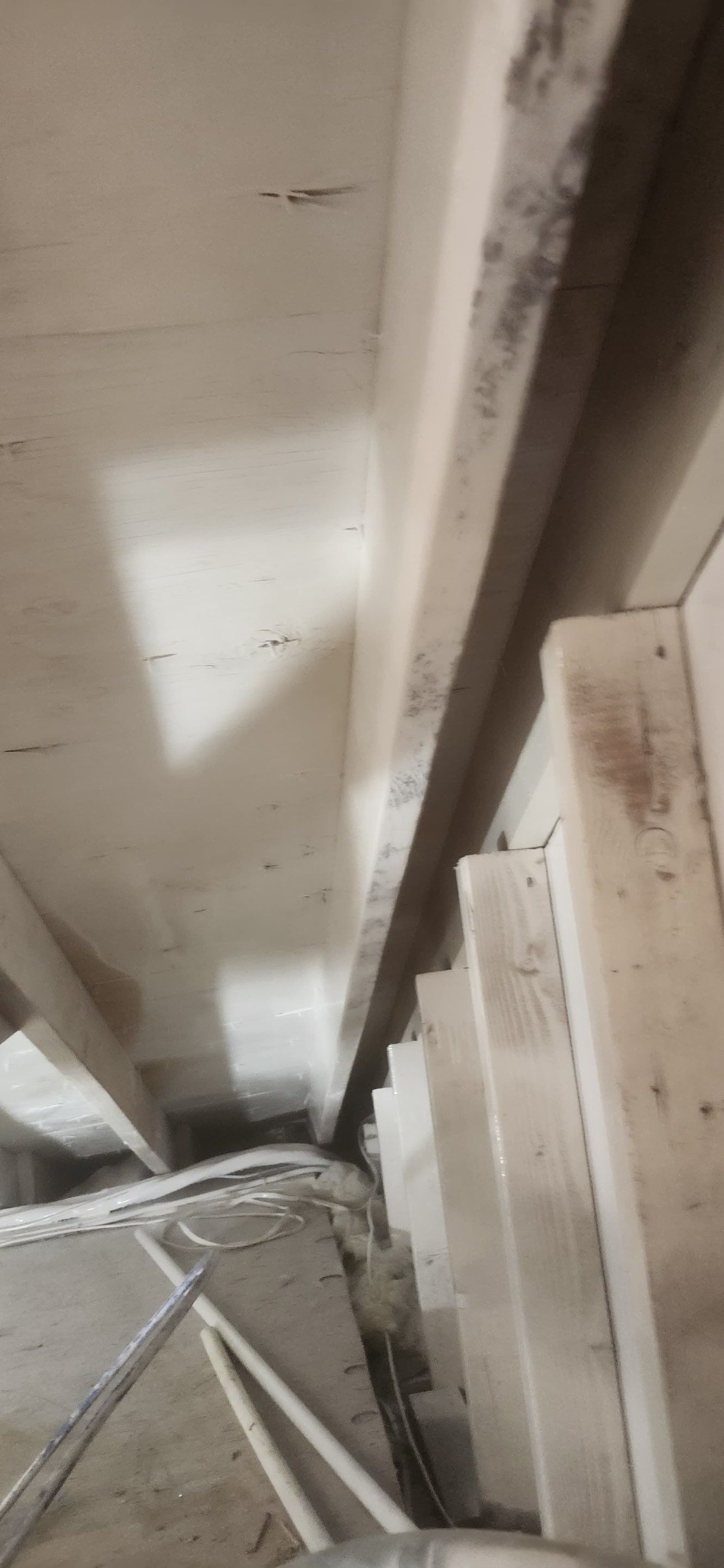 Attic Mold Remediation in Montville, NJ by Pure Service Pro, LLC