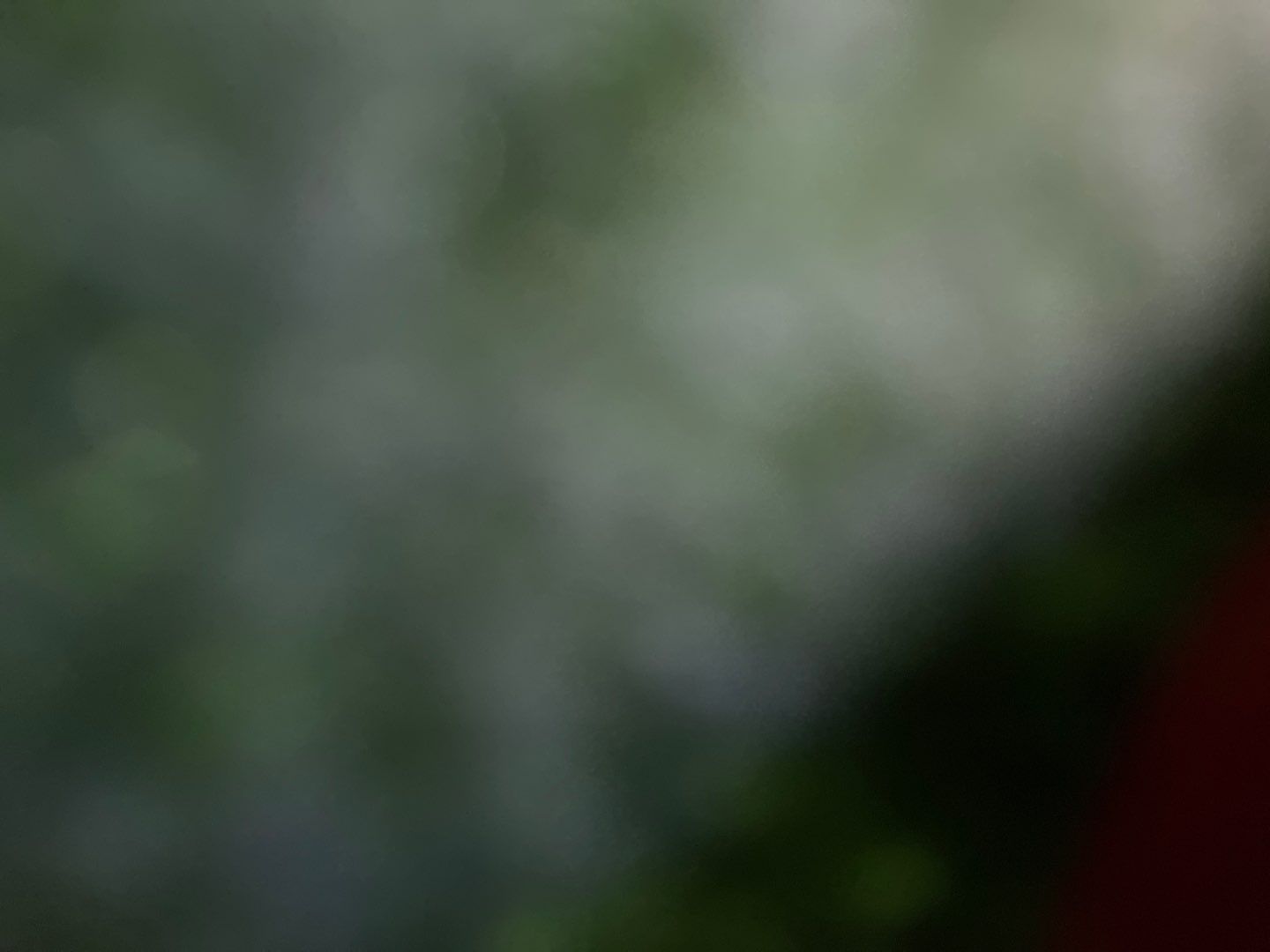 Fence Installation using Privacy Vinyl Fence by A Plus Exterior