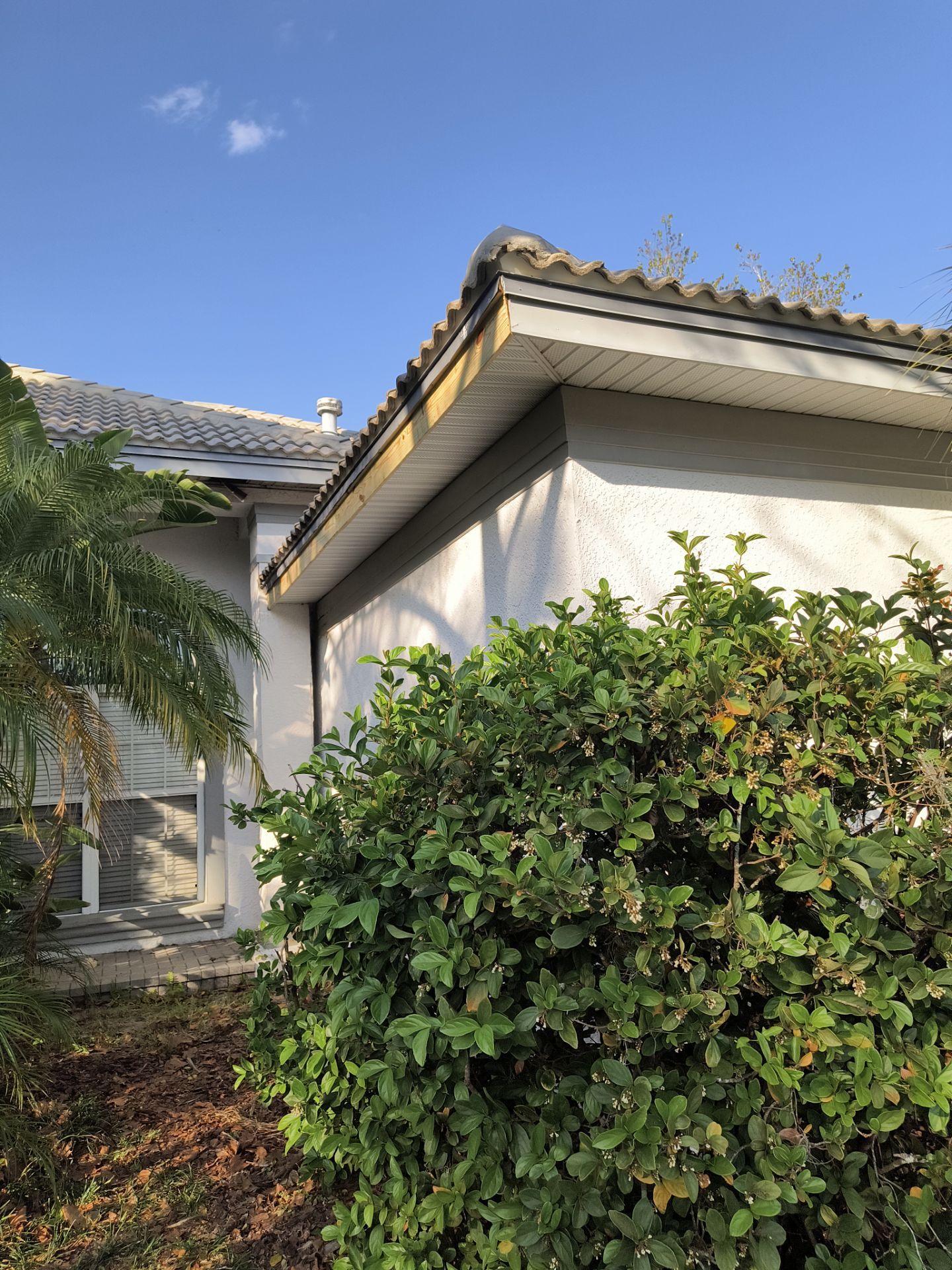 Complete Roofline Upgrade with Soffit, Fascia & Gutters Tampa FL by Gutter Professors