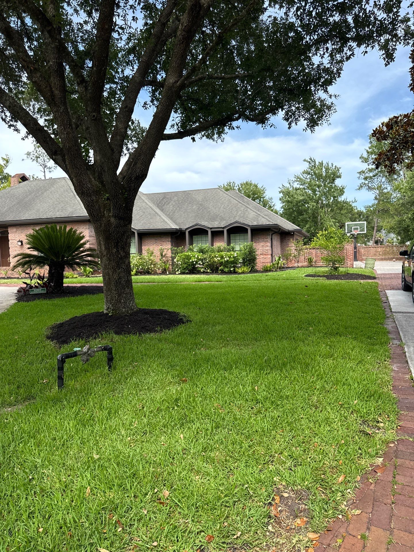 Deerwood Resident | Sod & Plant Install by ProGreen Services