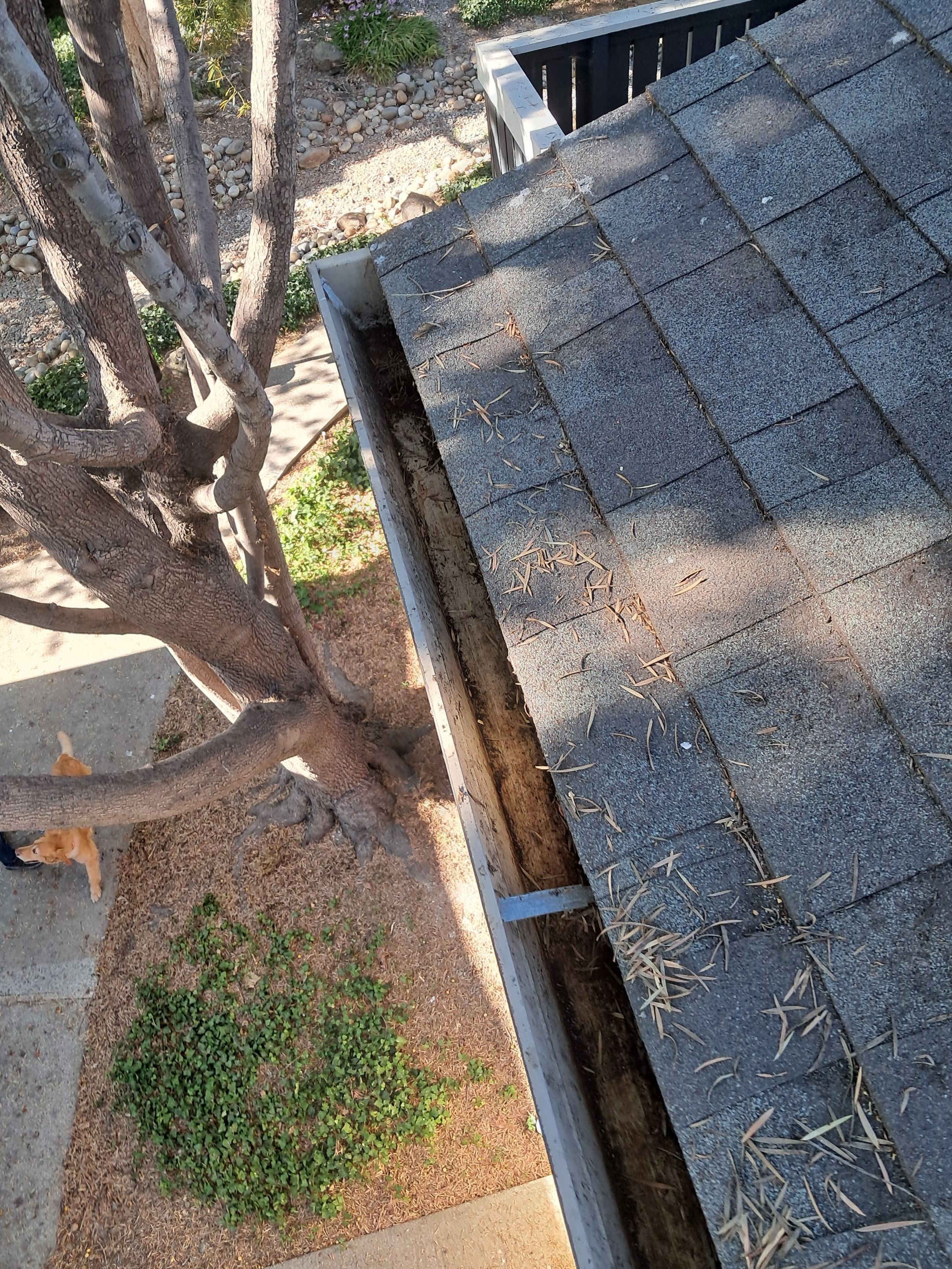 Commercial gutter cleaning San Francisco, CA after photo with clean gutters