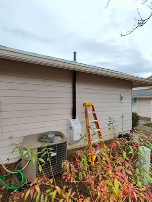 Project in Portland