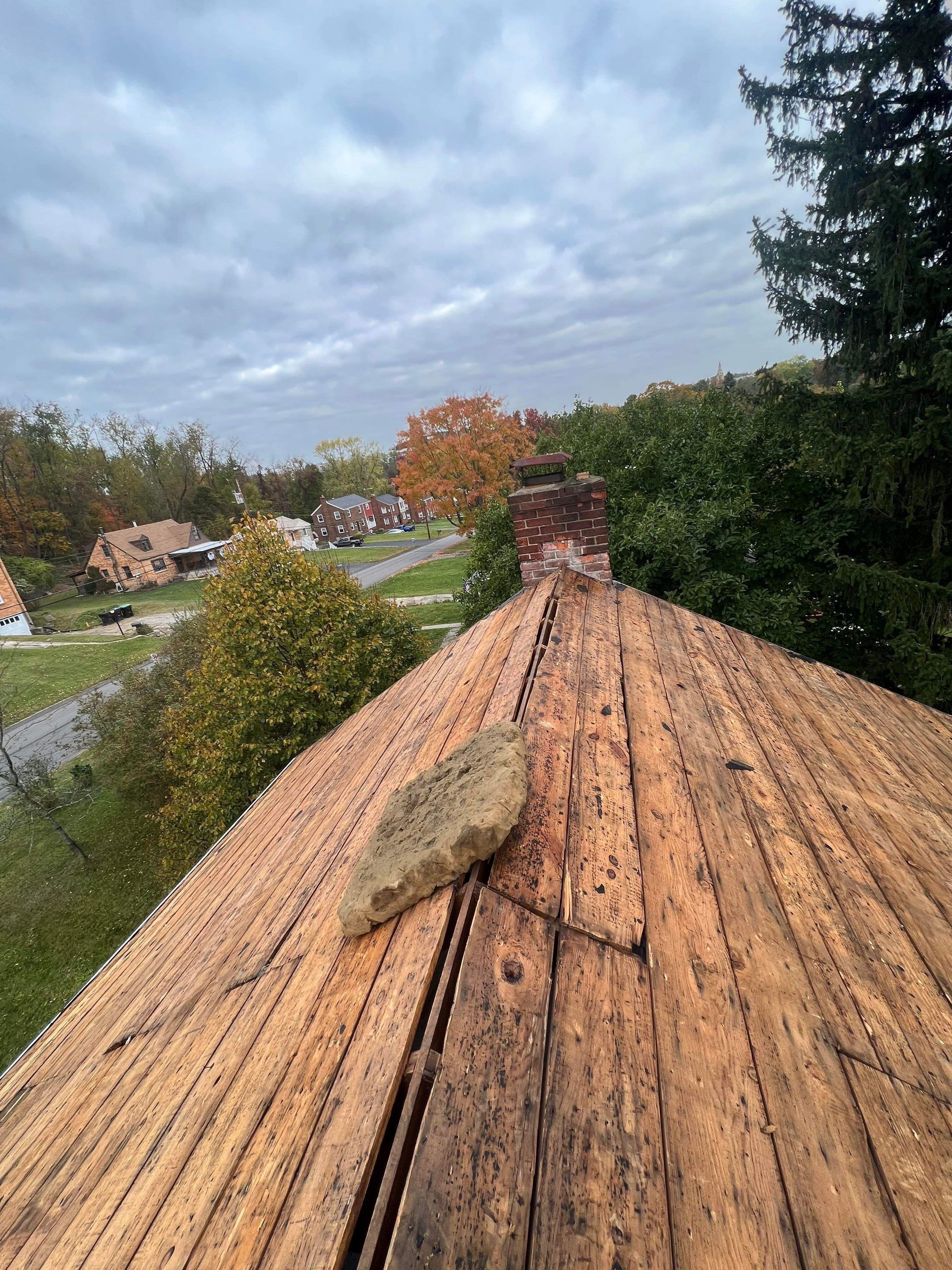Silver Birch Shingles by Reimagine Roofing