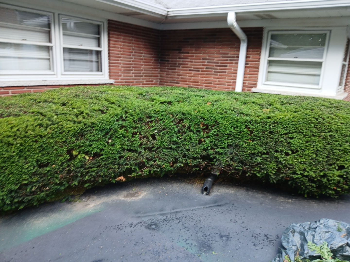 Al K. - Arlington Heights, IL by A&N