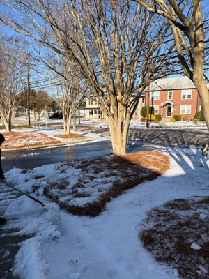 Project in Salisbury