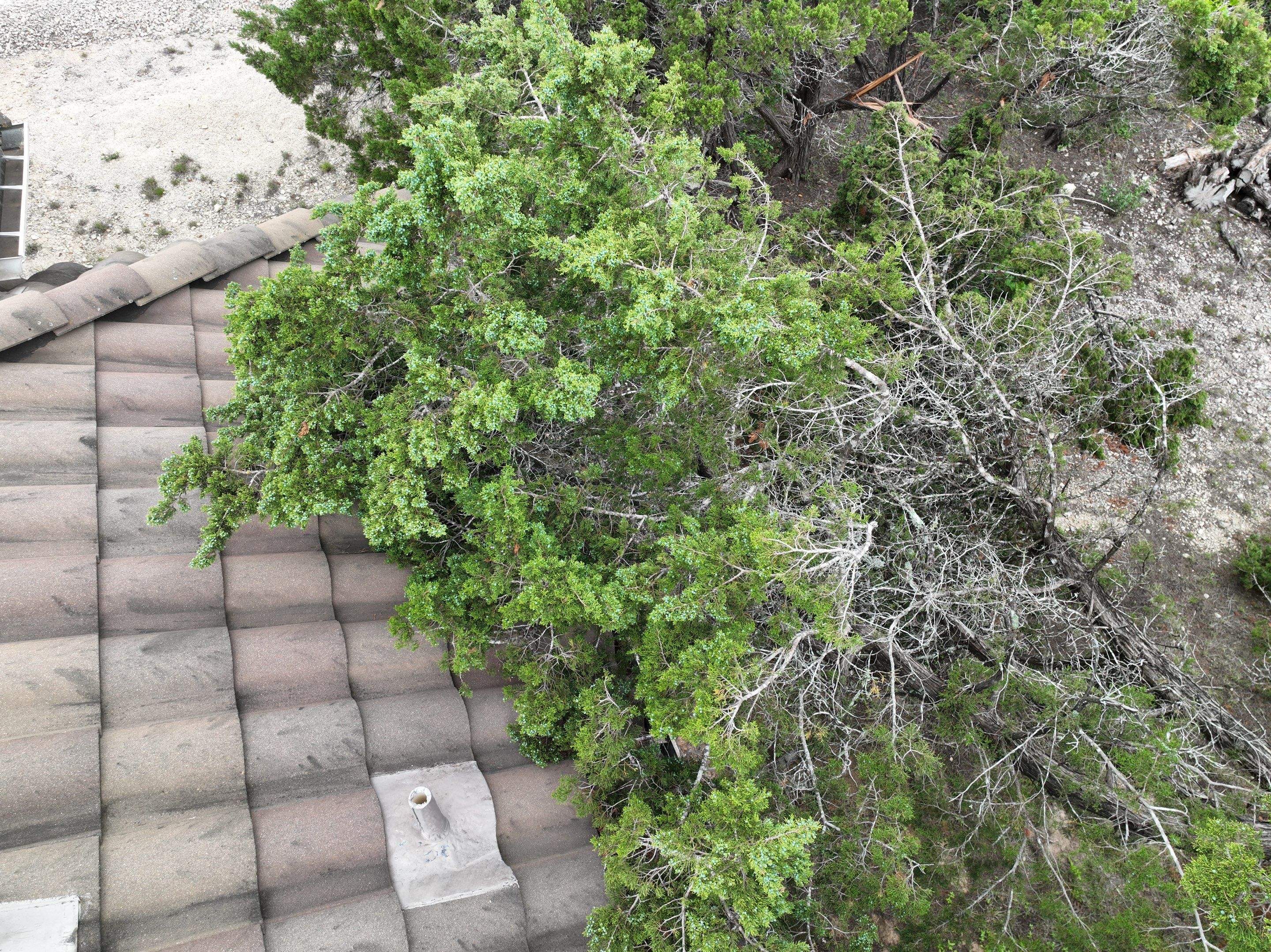 Tile Roof Repair  using Boral Tile by Premier Roofing and Contracting