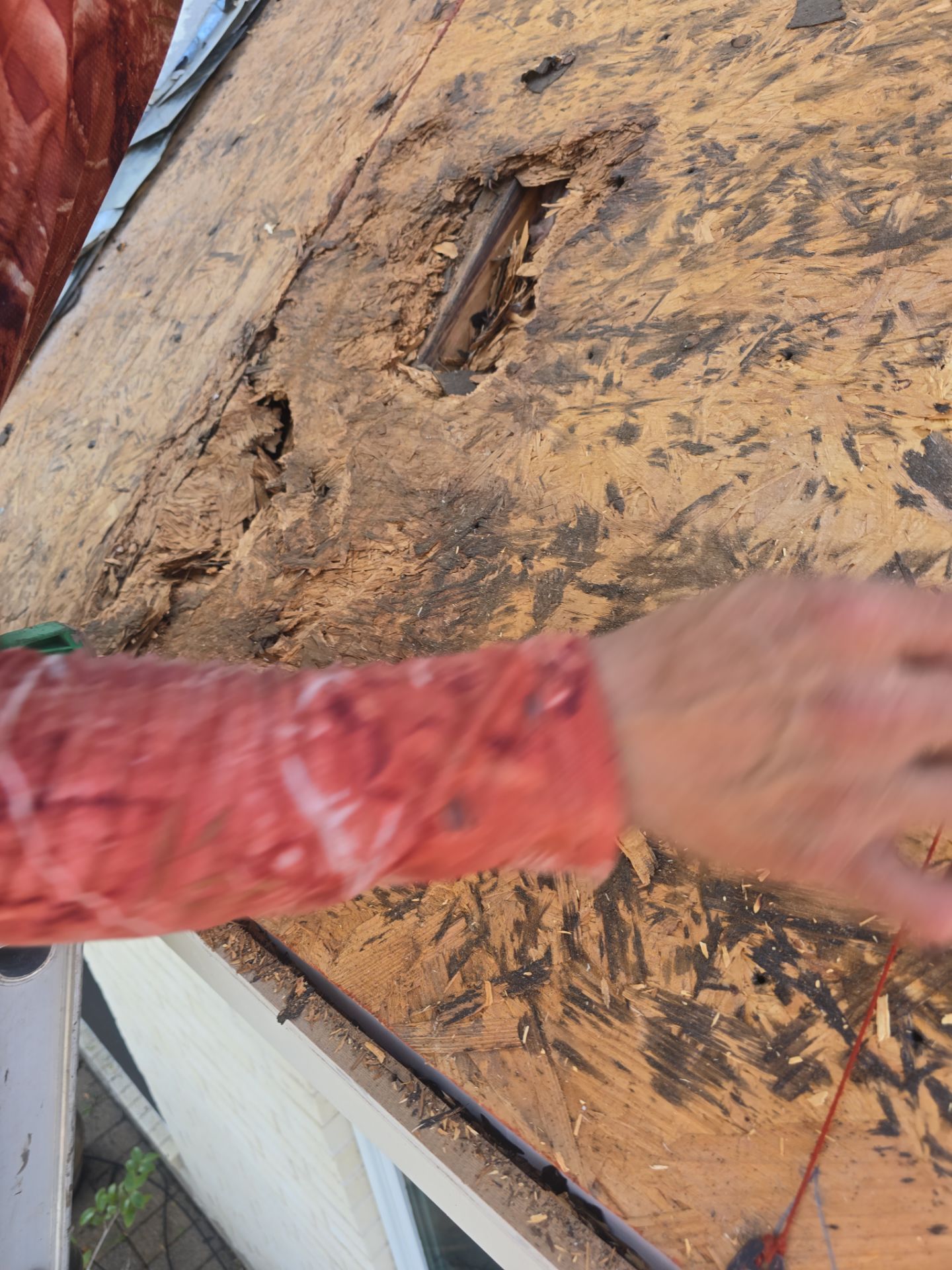 Roof Replacement Spring by Roof Repair Company