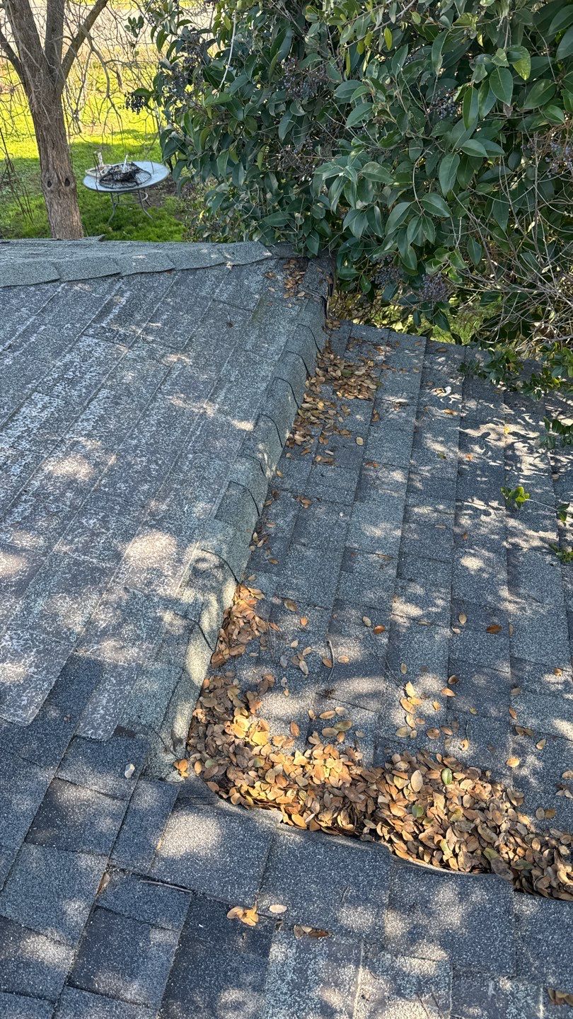 Project by NuLead Construction Inc by NuLead Construction Inc