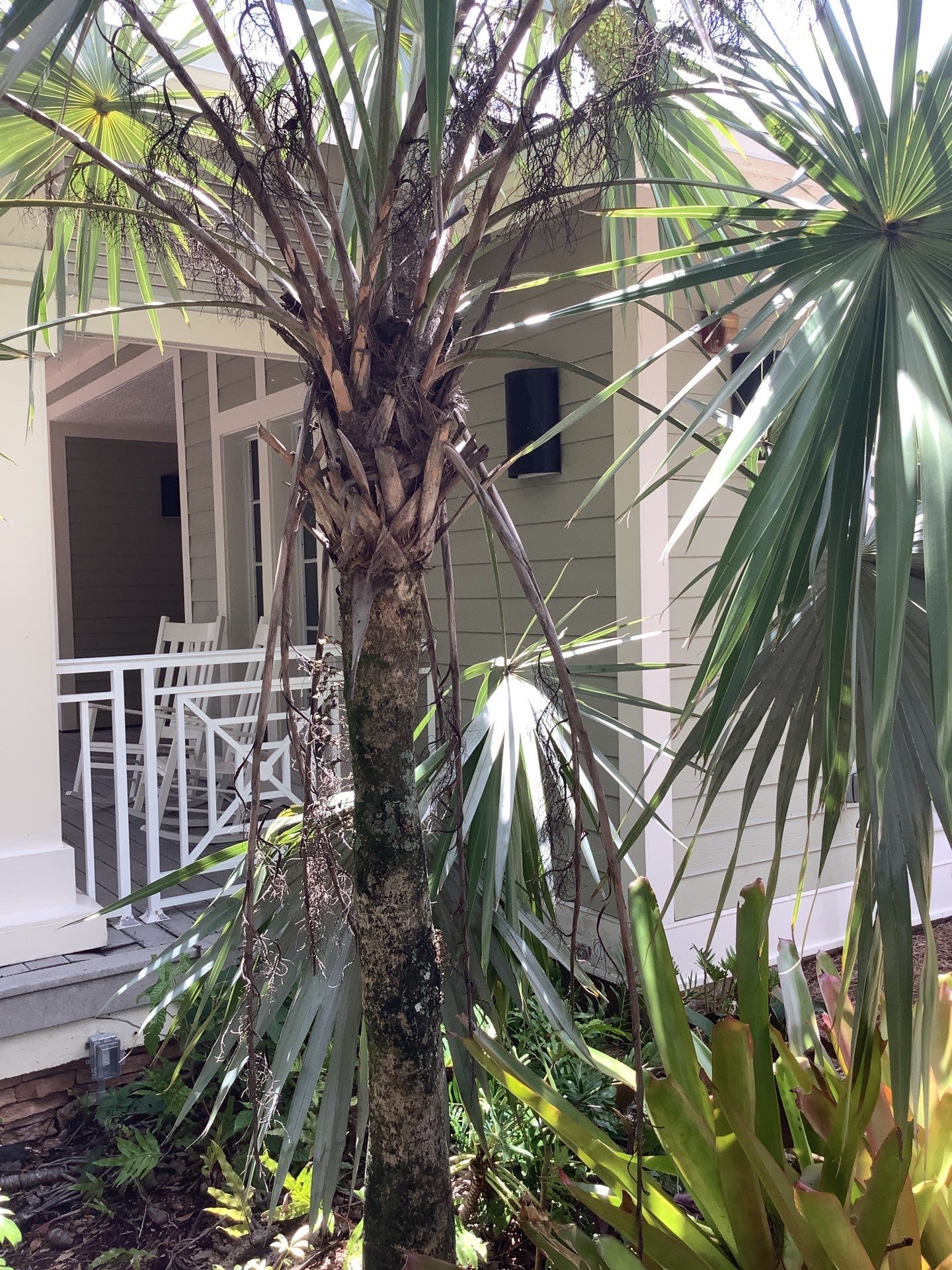 7-Inch Smooth Box Seamless Gutters using smooth box gutters in Fort Myers FL by Gutter Professors