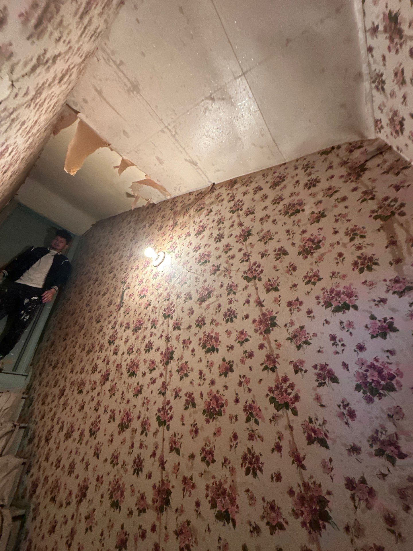 Wallpaper Removal and Interior Painting  by Heiler Painting