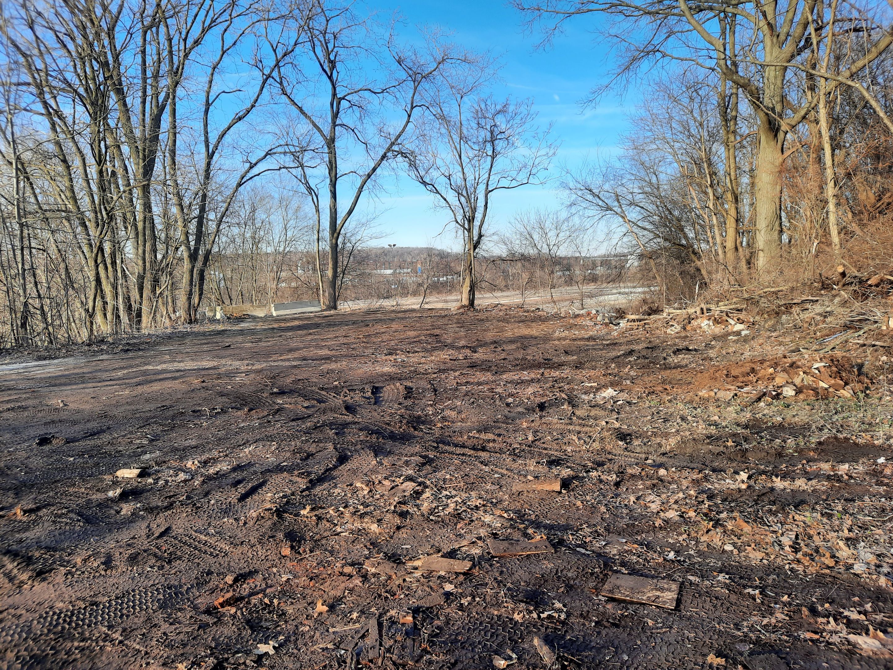 Tree Removal using Tree Removal by Mike Jones & Sons Tree Service LLC 