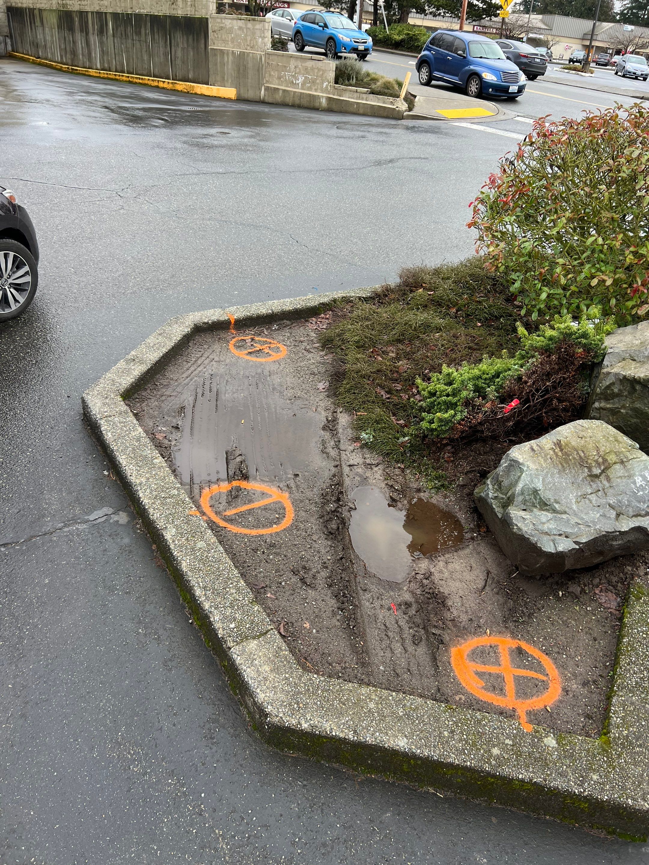 Amanda | Concrete Curb by Jireh Asphalt & Concrete Inc 