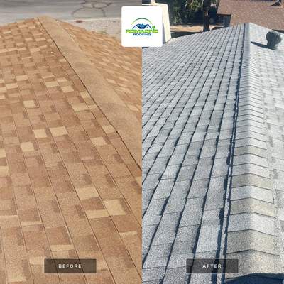Silver Birch Shingles