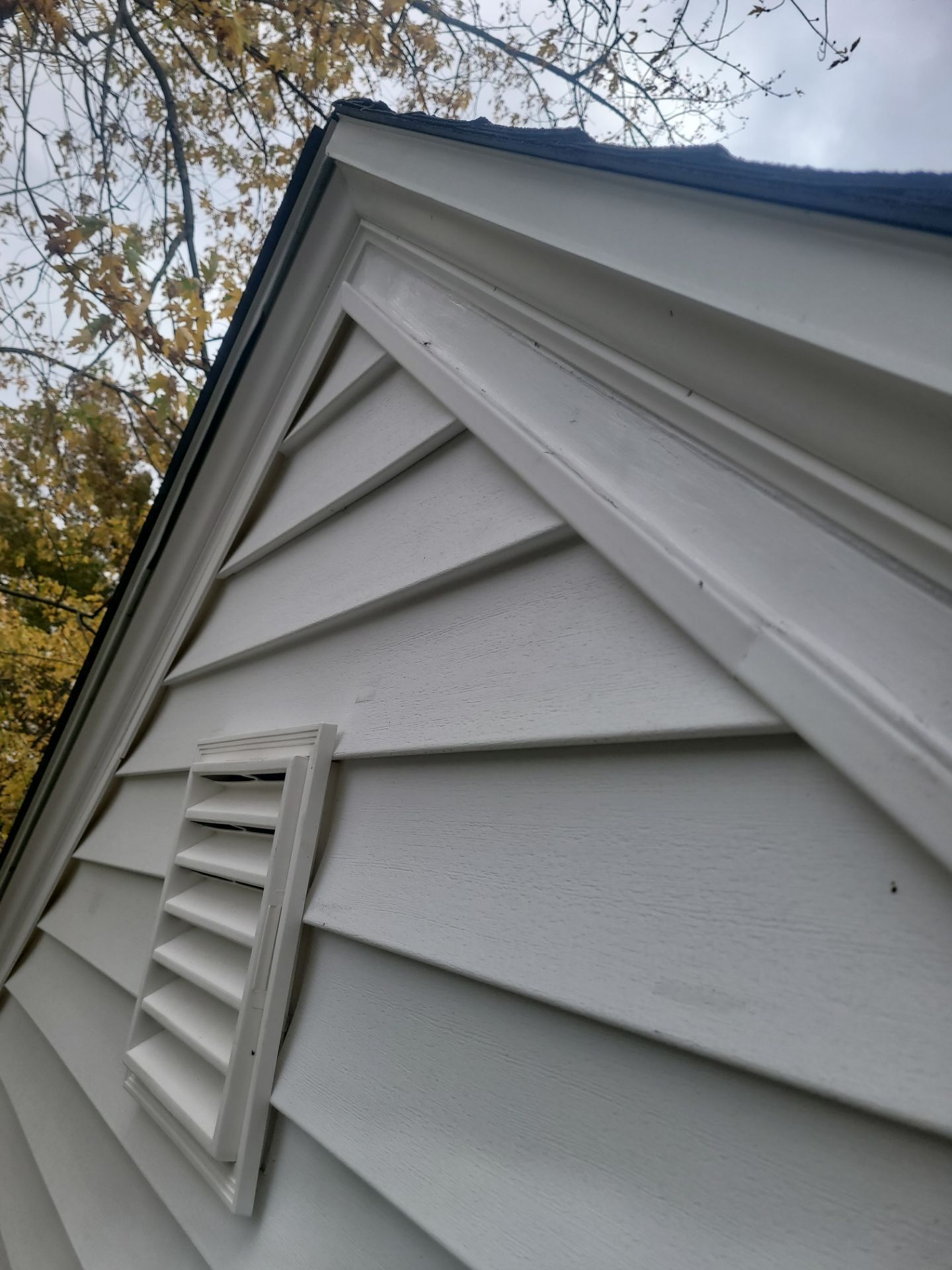Josh Bennett by Silver Leaf Contracting 