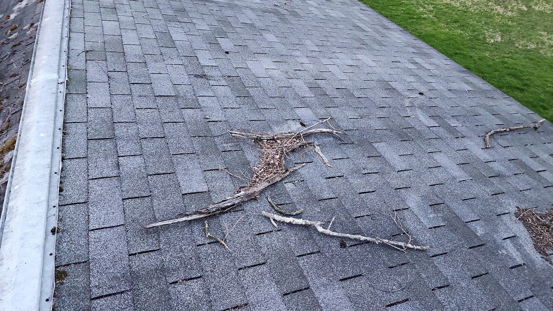 ATLAS PINNACLE COLOR: COASTAL GRANITE DRIP EDGE: BLACK by Eagle Eye Roofing