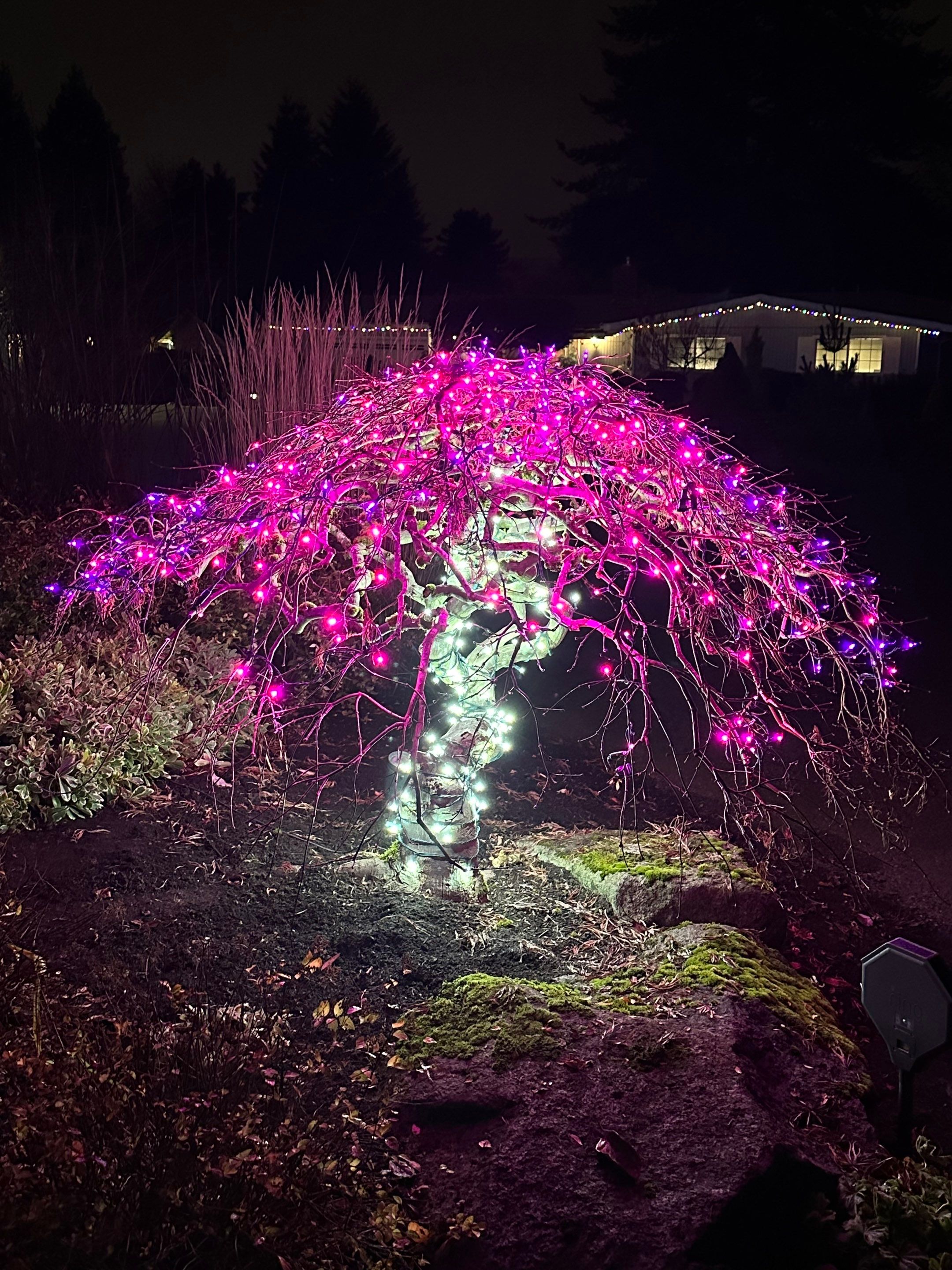 Holiday Light Gallery by WindowWorks