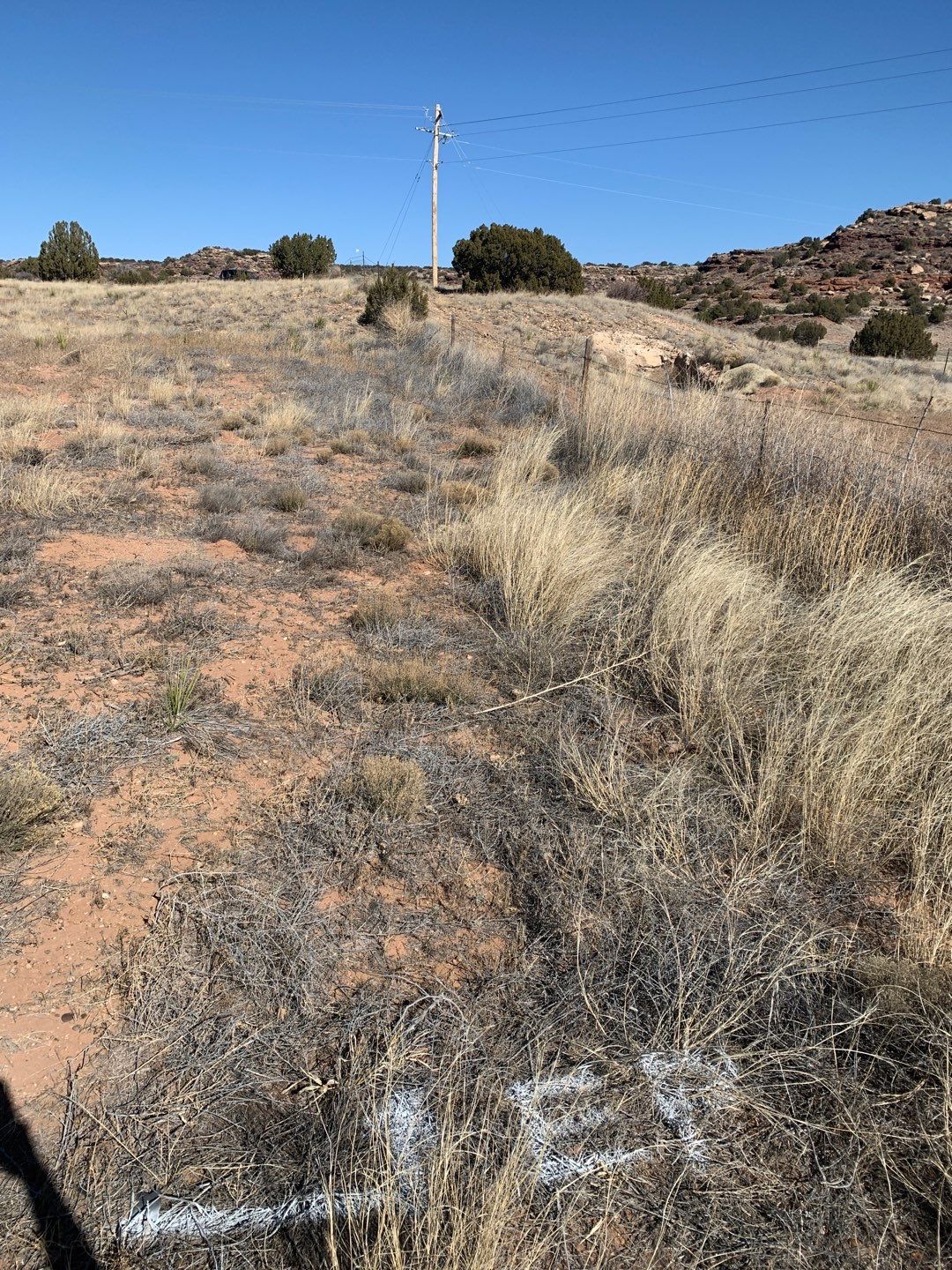 Light Commercial using 6' Pro-panel by Valley Fence Company