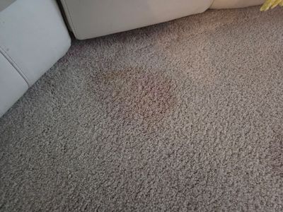 Carpet Cleaning and Stain Removal