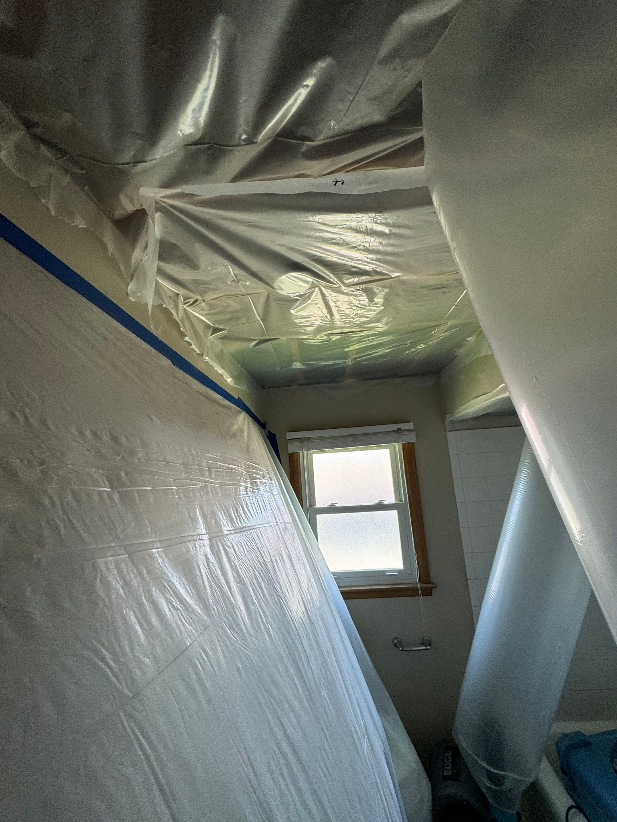 Bathroom Mold by Chicagoland Water Medics