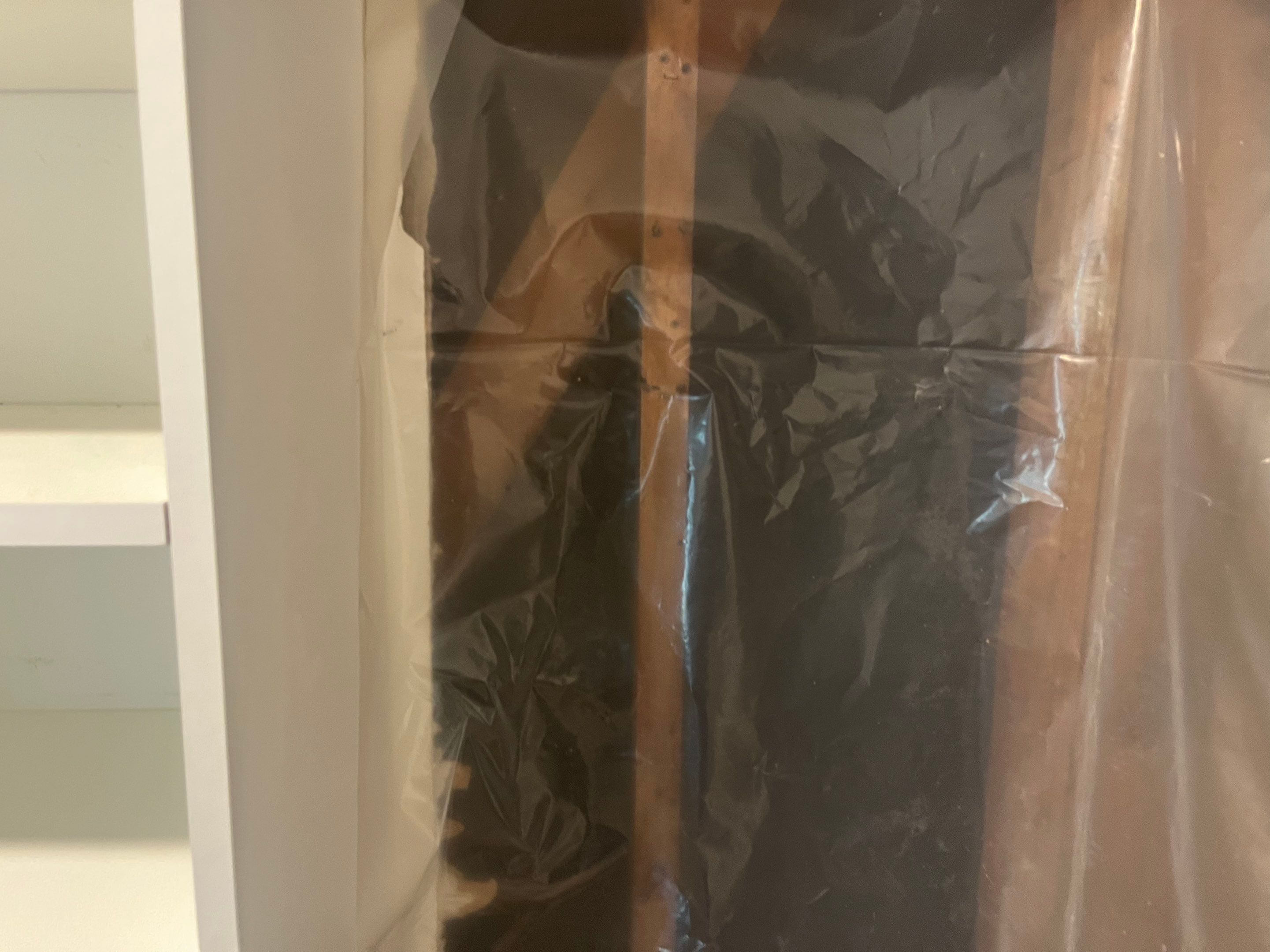 Small Mold Remediation in Louisville, KY by ANR Restoration