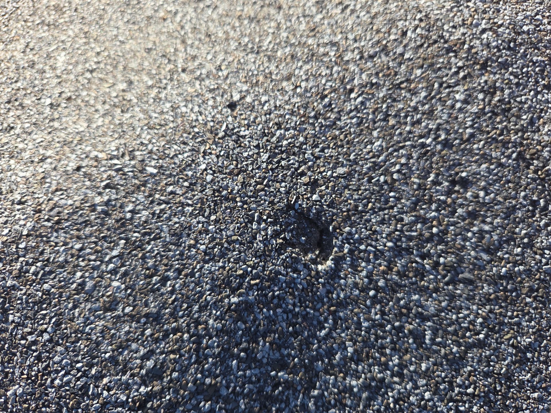 Roof repair and Gutter cleaning by RTP Roofing Company