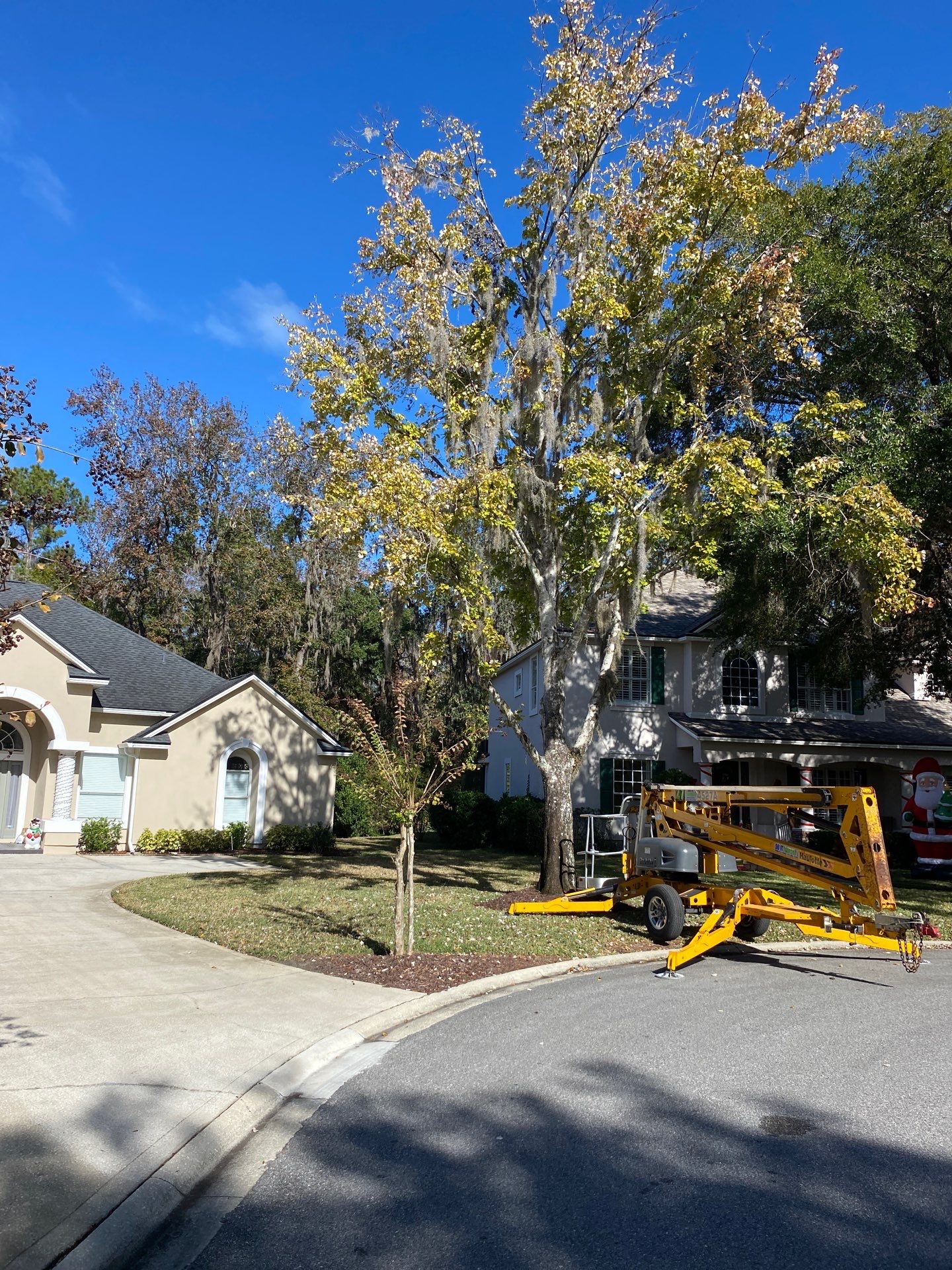 Residential | Tree Service by ProGreen Services