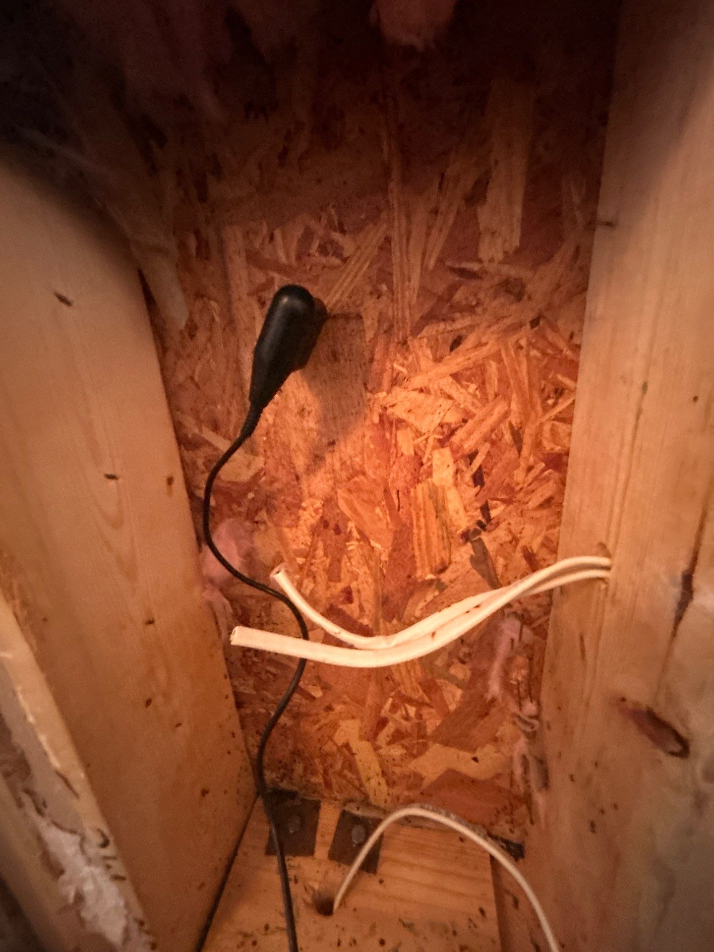 Mold Remediation Sarasota by Ampm Restoration Services