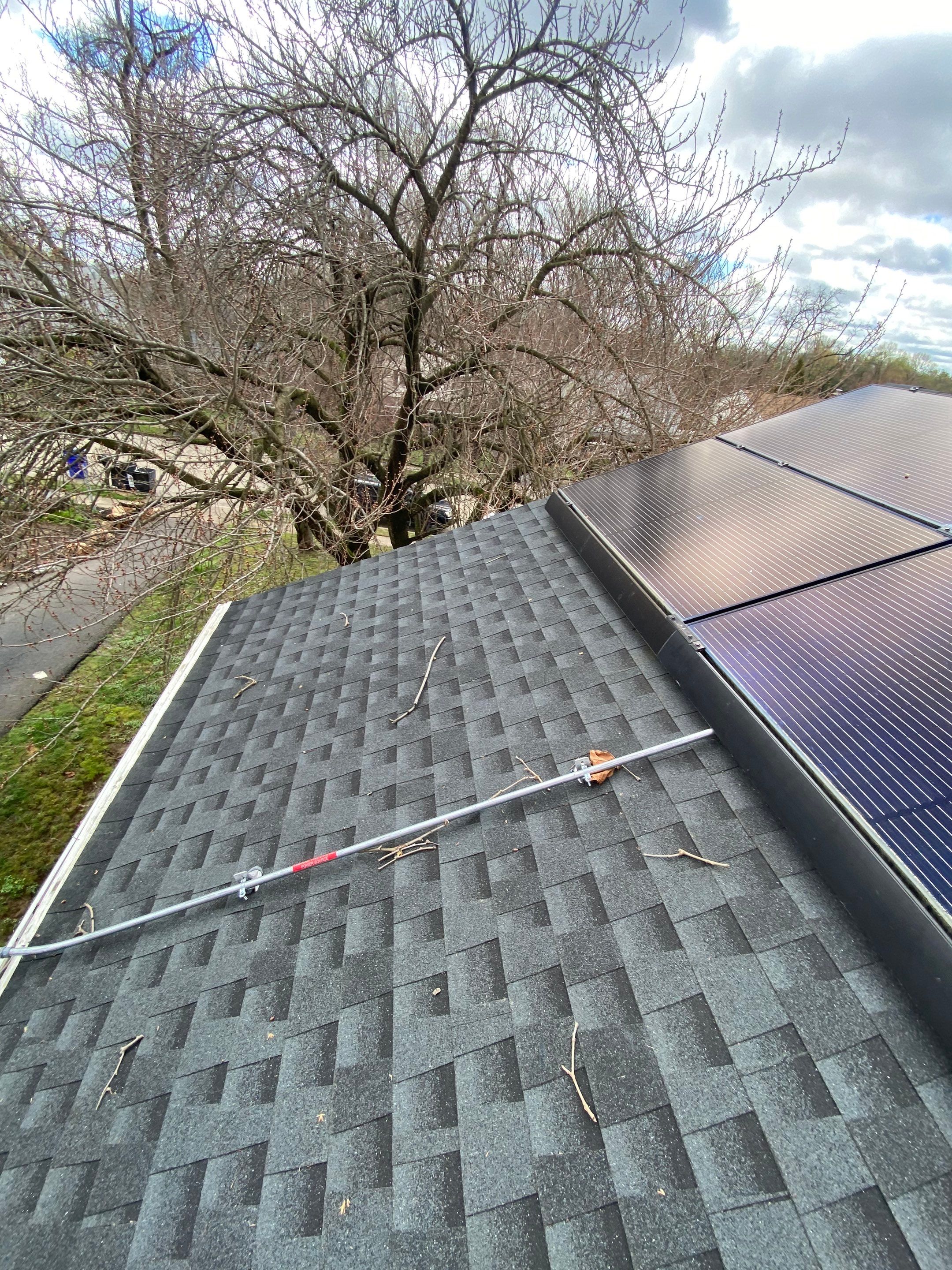 Silver Birch Shingles by Reimagine Roofing