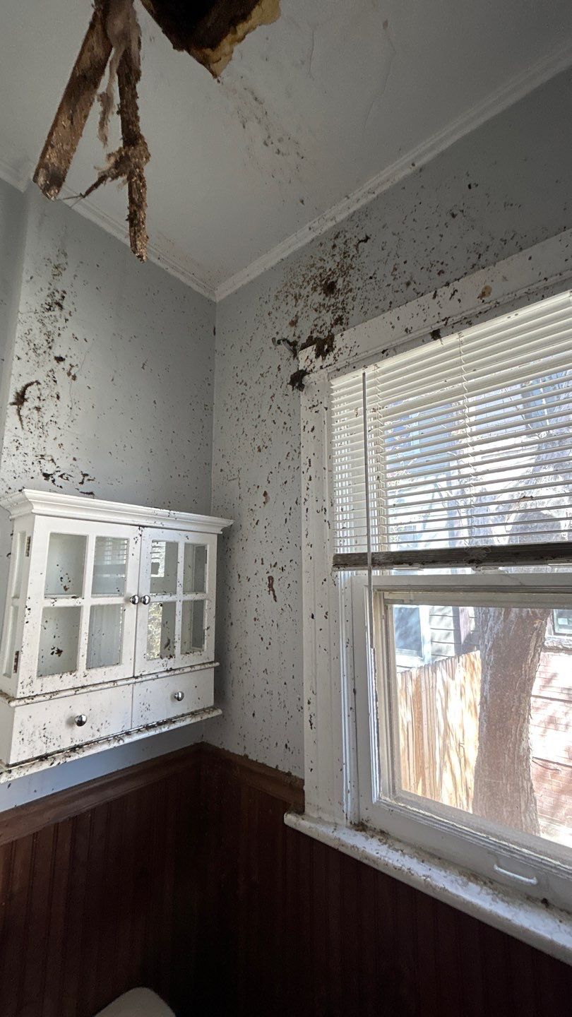 Fire Damage  by Accountable Home Services