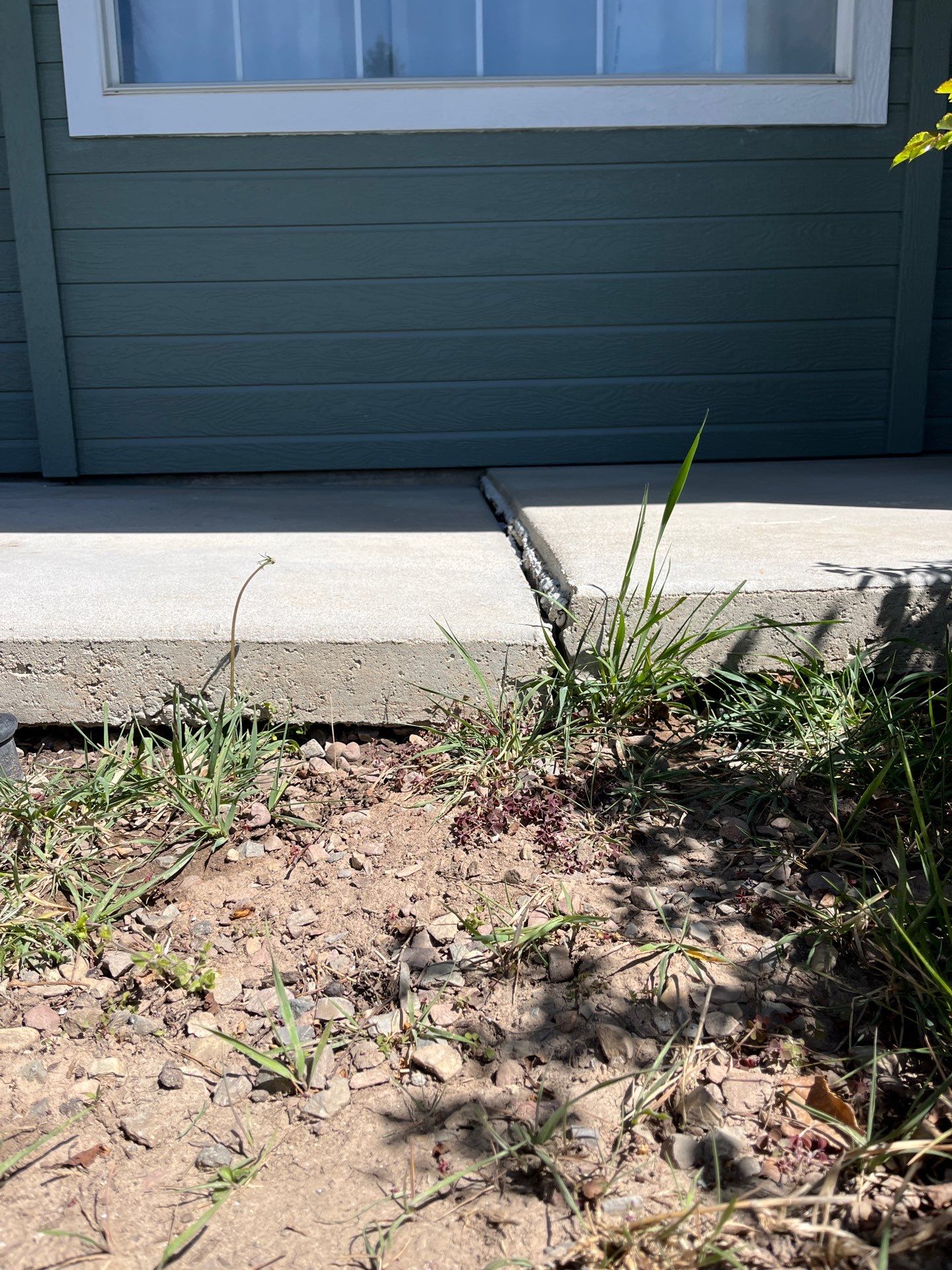 Walkway Lift and Level by Trenton by Mr. Mudd Concrete