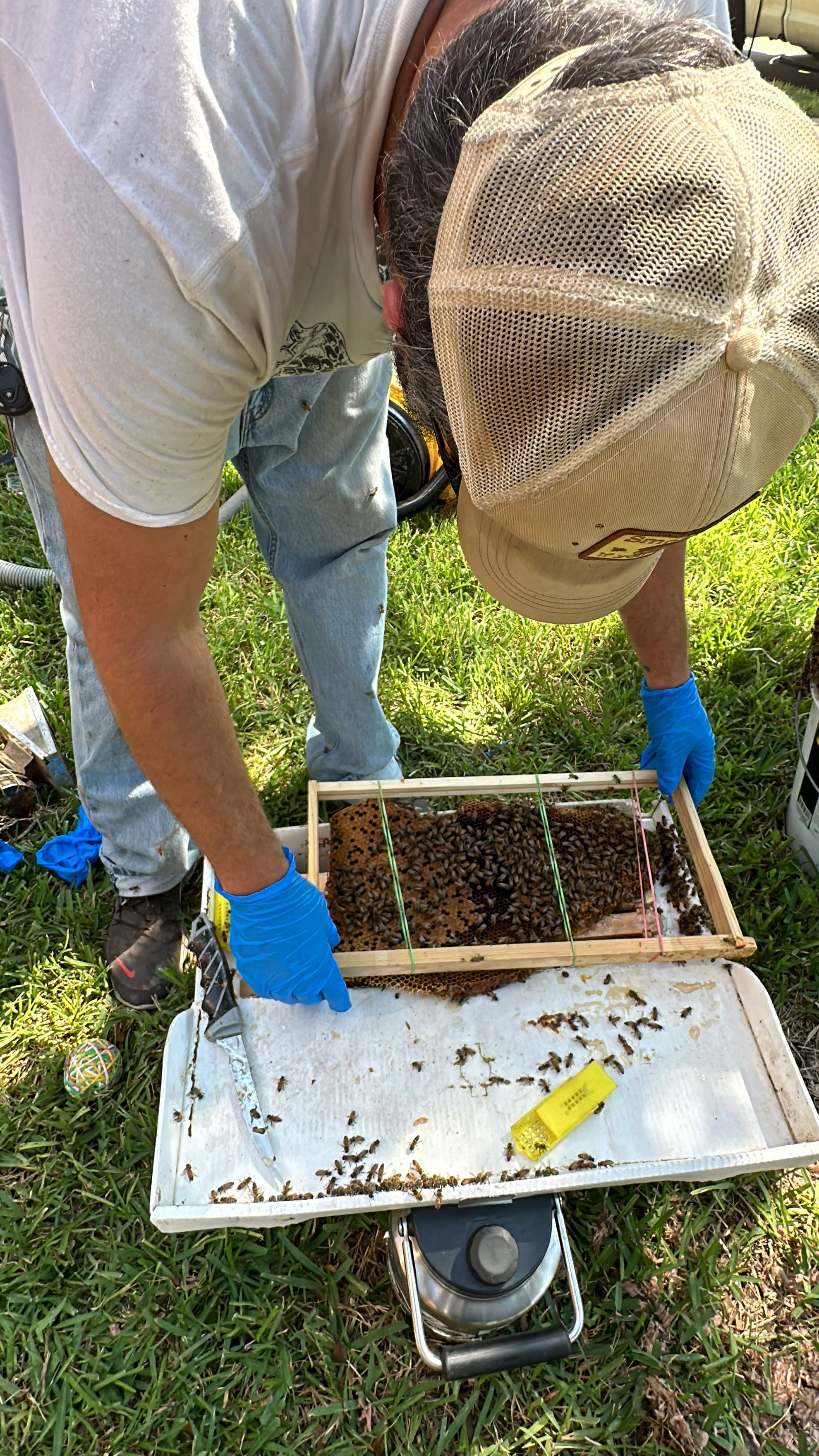 Extra High Up by Rockwall Honey Bee Company