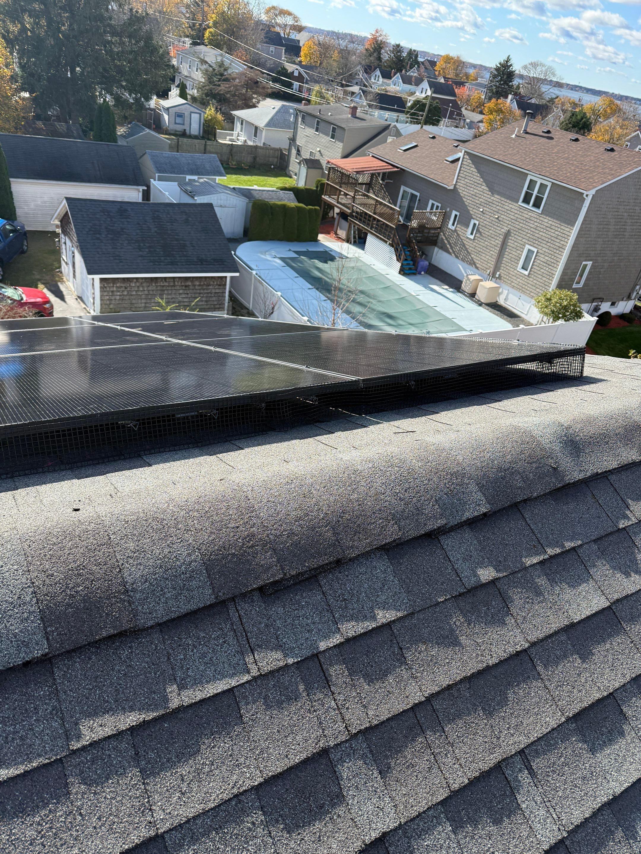 Priscilla T. by OneGrid