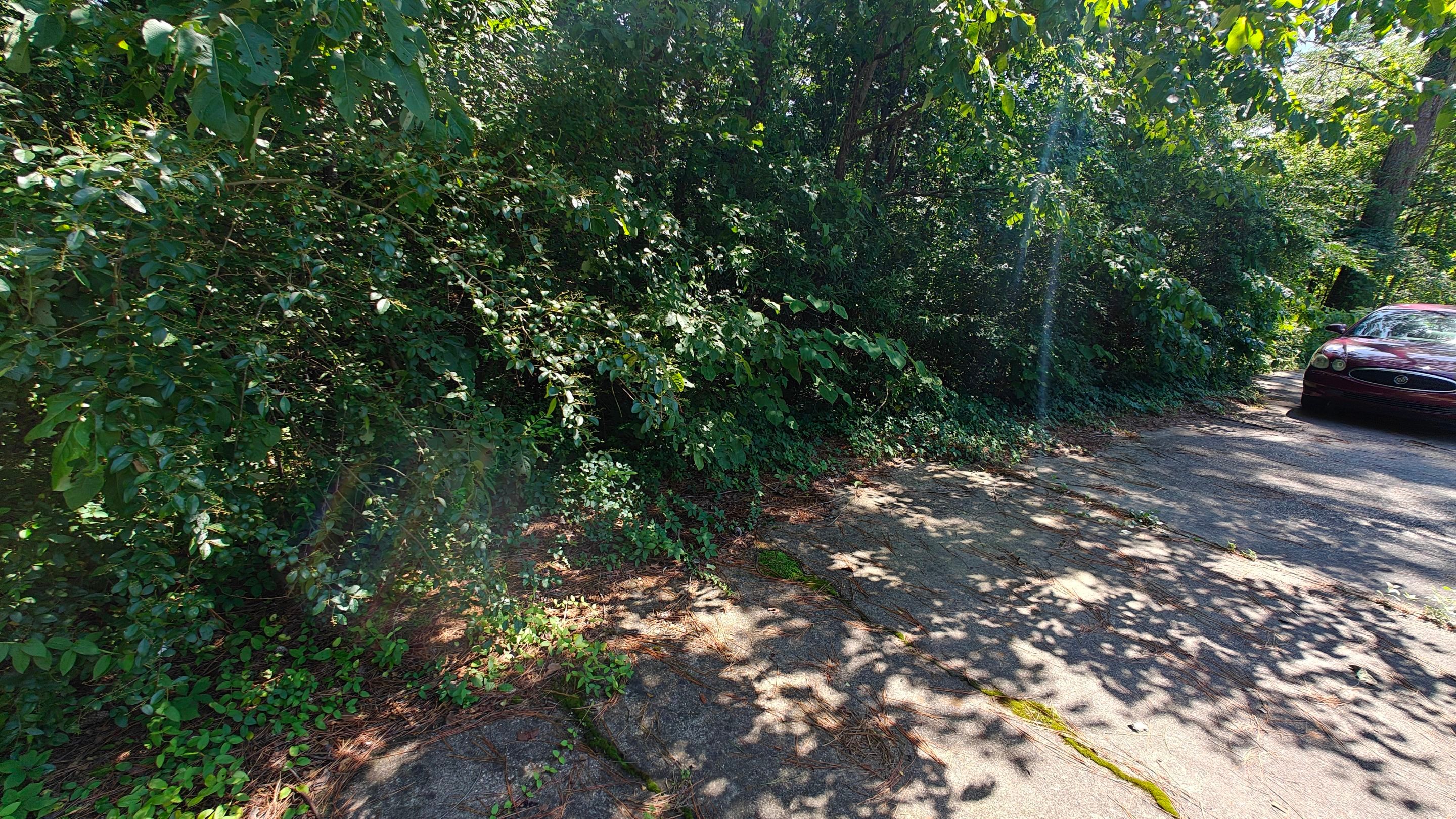 Bi Weekly Landscaping/ Weeding  by College Bros Outdoor services