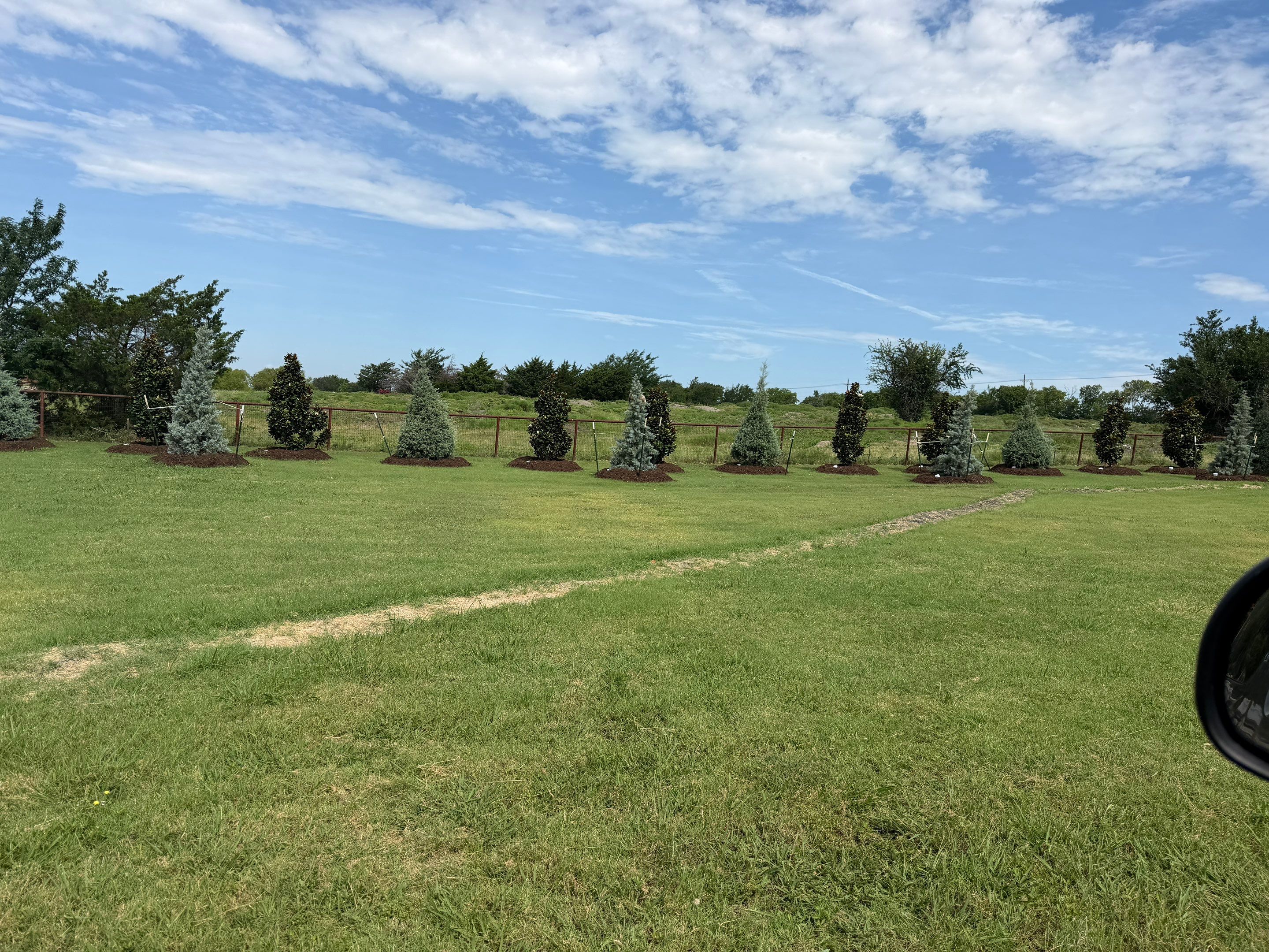 Momma K’s apiary by Rockwall Honey Bee Company