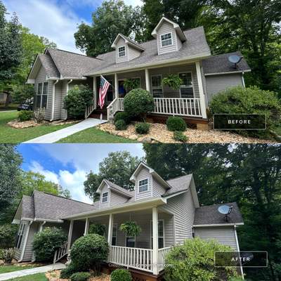 Judy's House
