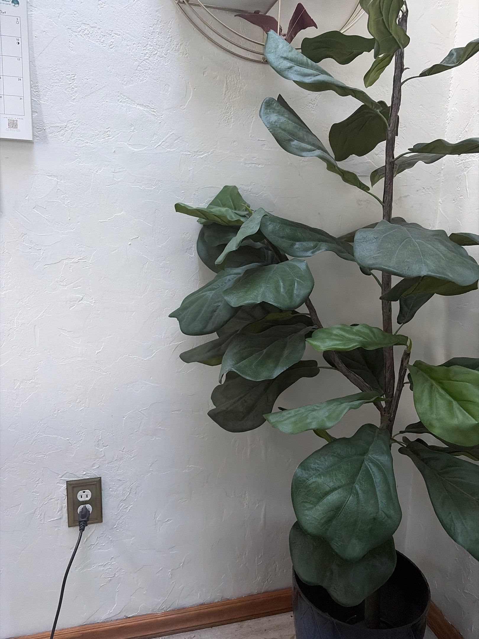 showcase test by CompanyCam