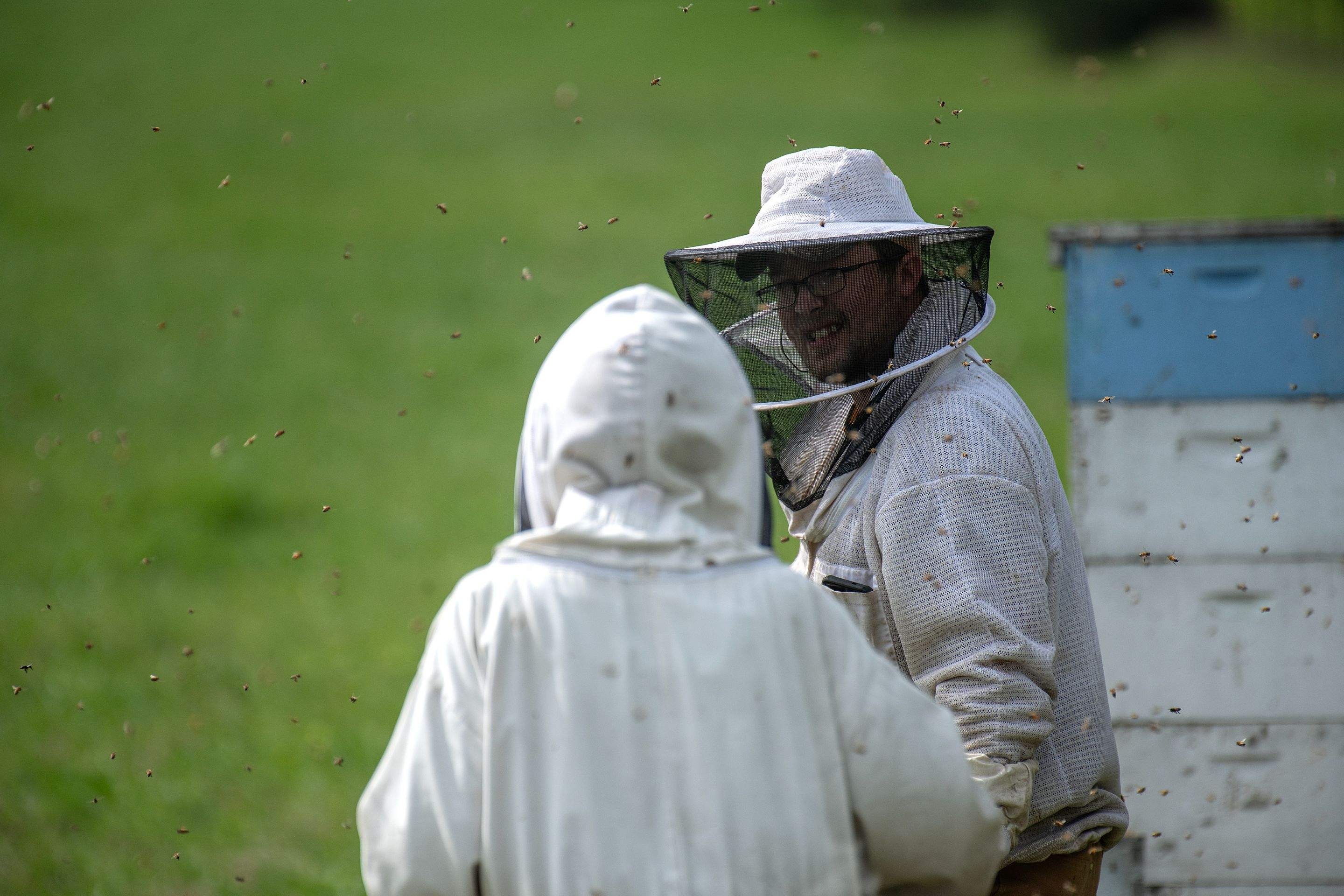 Splits in East Texas by Rockwall Honey Bee Company