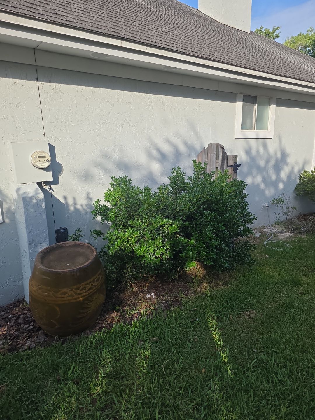 Deerwood Resident | Tree Trimming by ProGreen Services