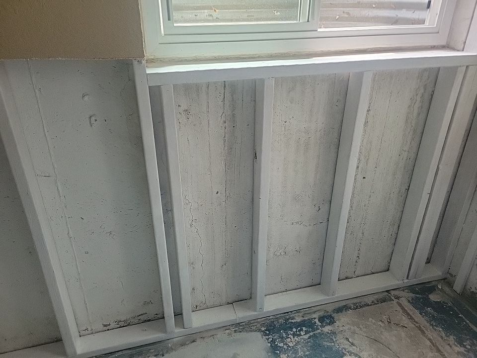 Mold Damage by Accountable Home Services