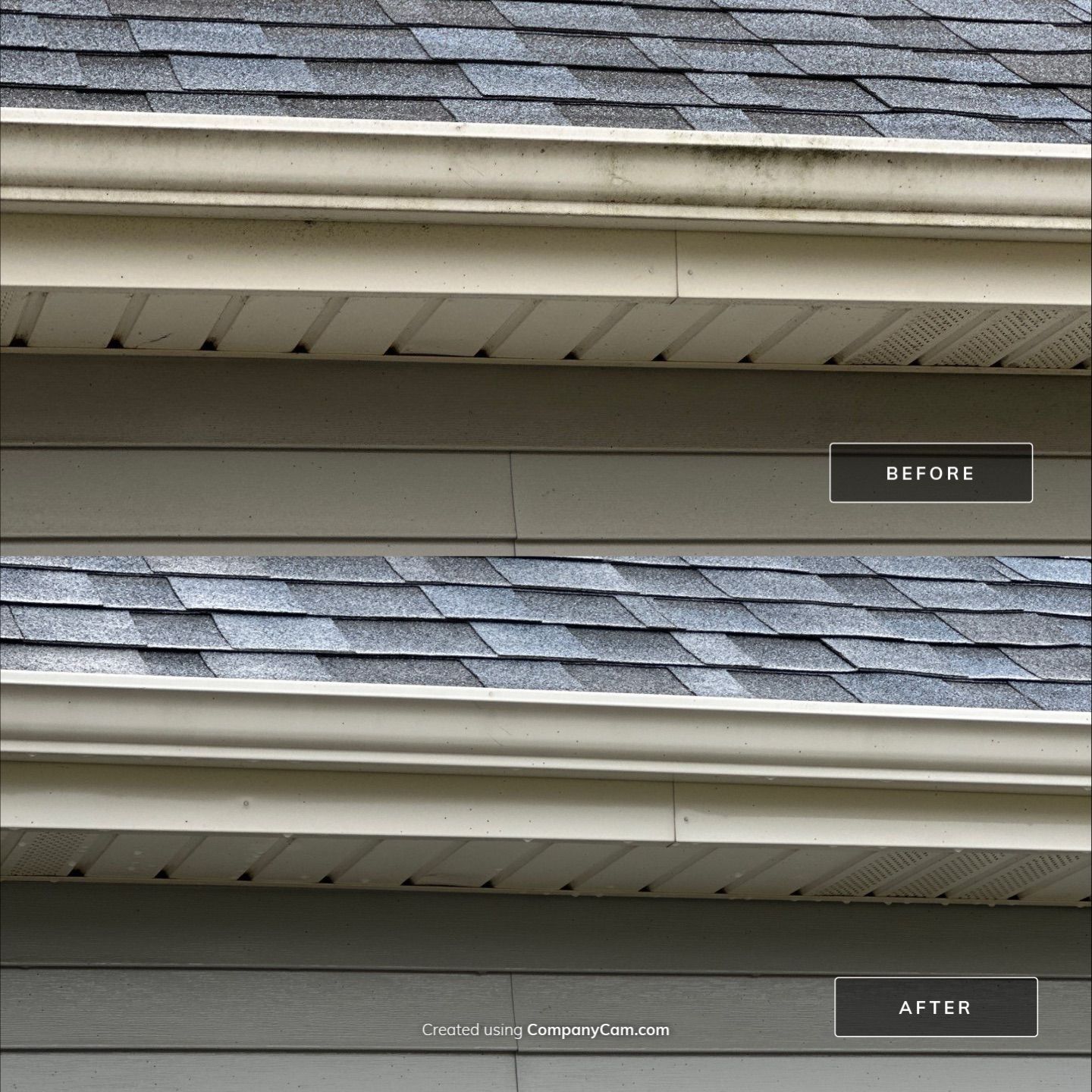 Project in Harvard by Simmons Power & Soft Washing