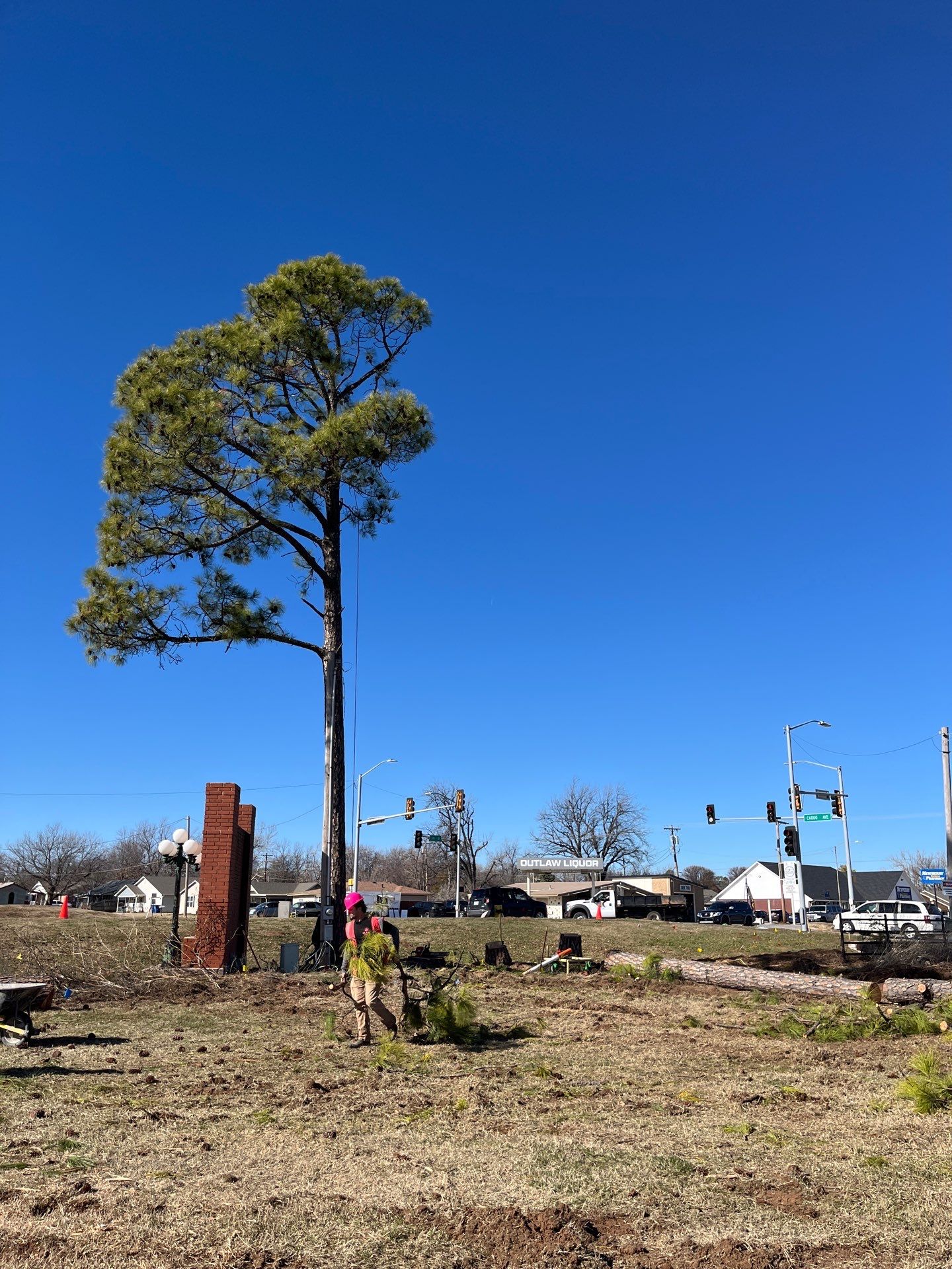 Pine Removals by Clays Services Inc