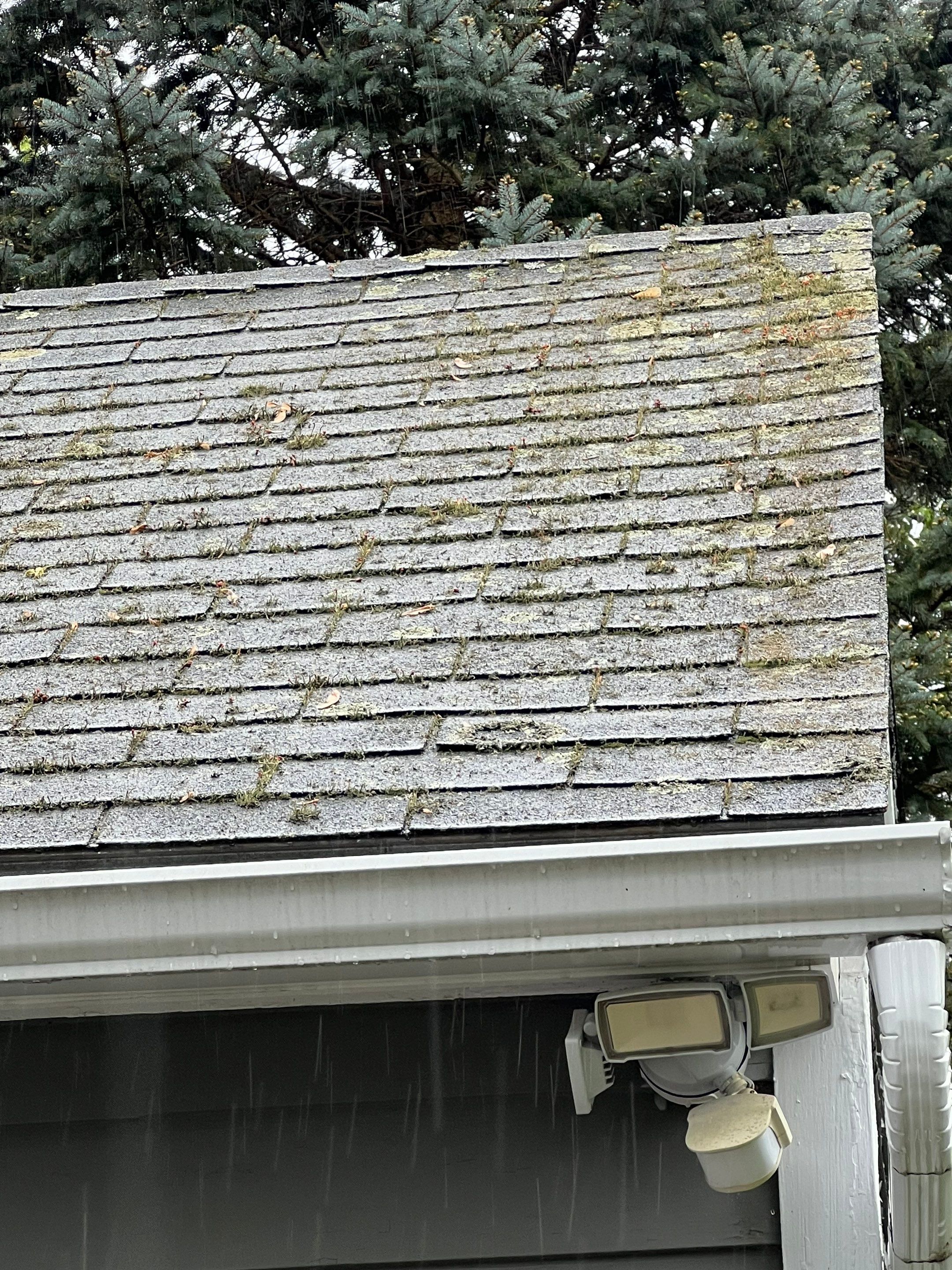 Complete Roof Replacement with Ventilation Upgrade by Mighty Dog Roofing of Greater Middlesex County