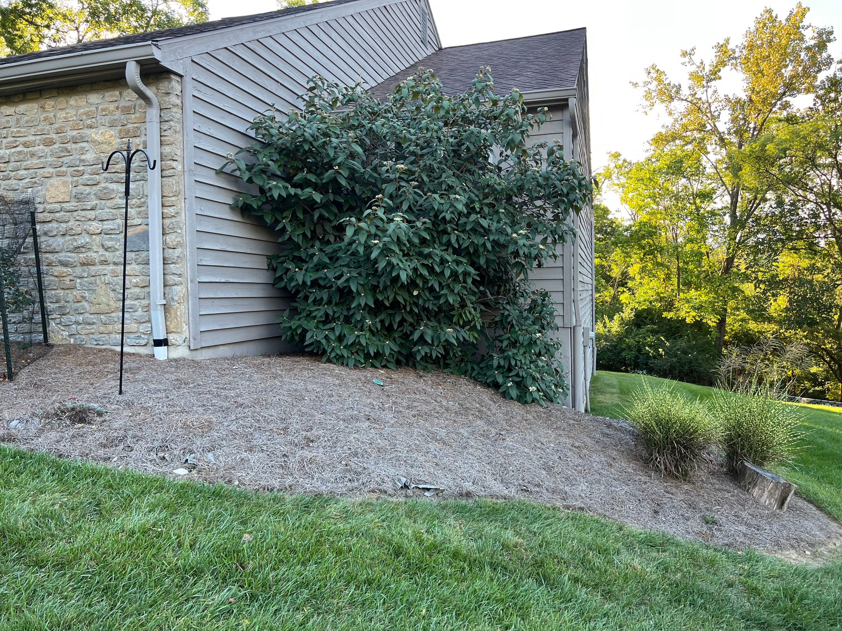 Spring Clean Up using Pine Straw by Reisenberg’s Lawn & Landscape, LLC