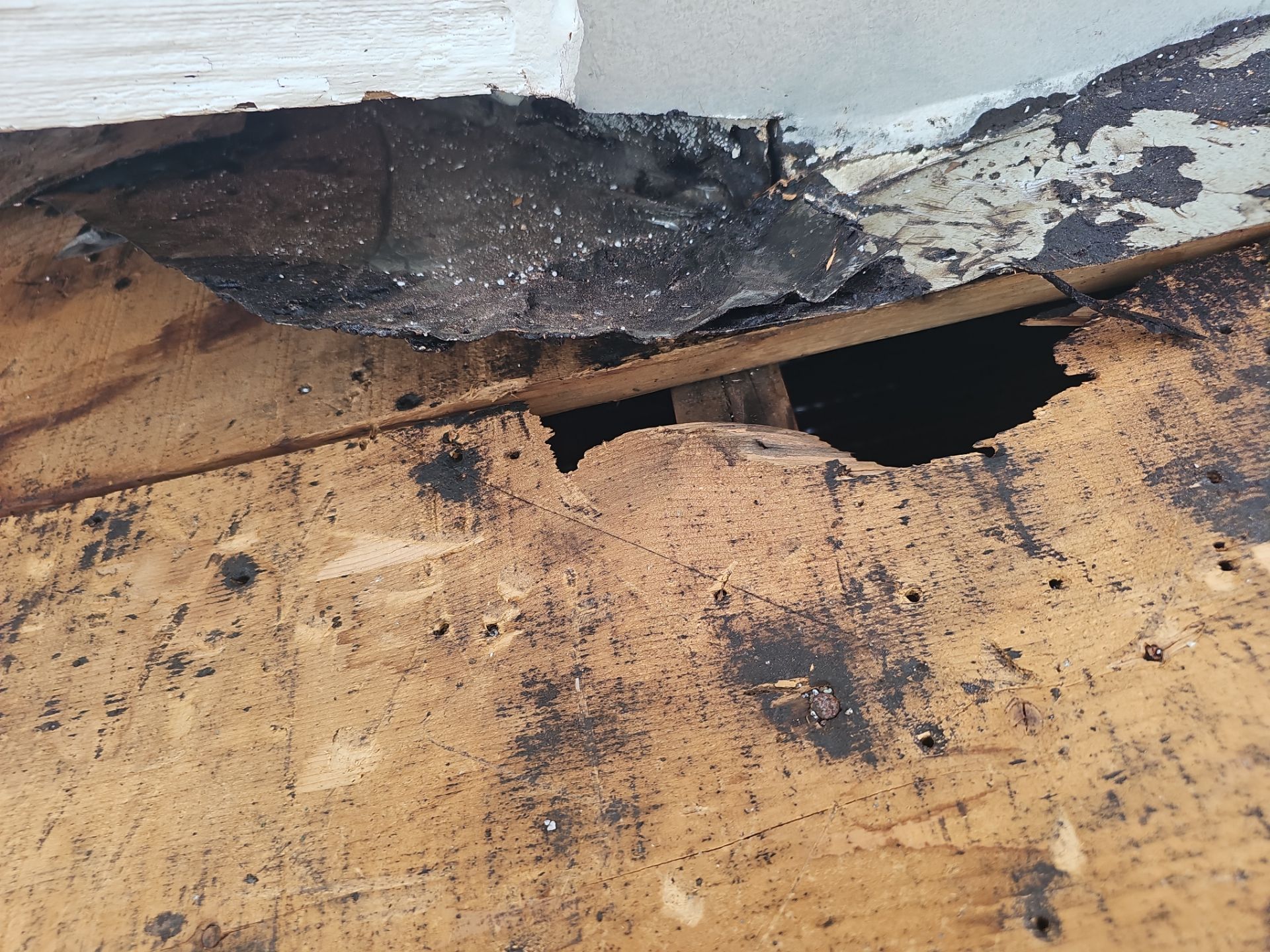 Project in St. Petersburg 33712  by Mitchell Roofing Company LLC 