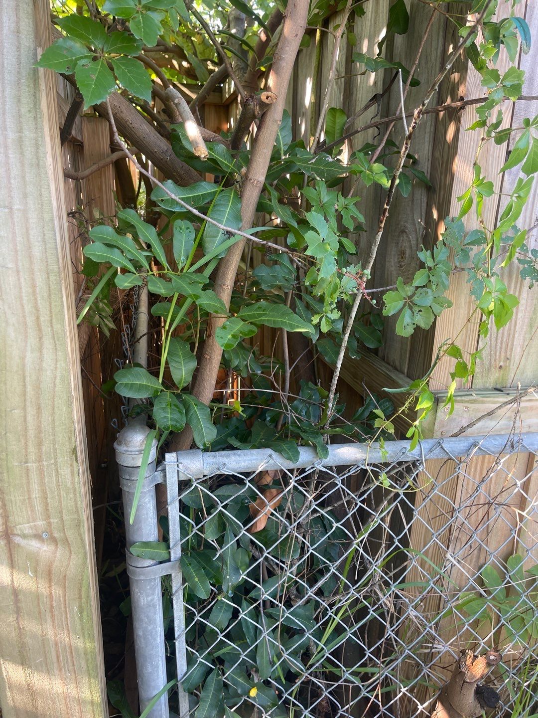 Sarasota, FL 6ft. Tall White Vinyl Privacy Fence  by Asap fence and gates, LLC
