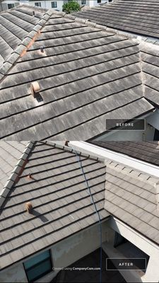Tile Roof Soft Wash