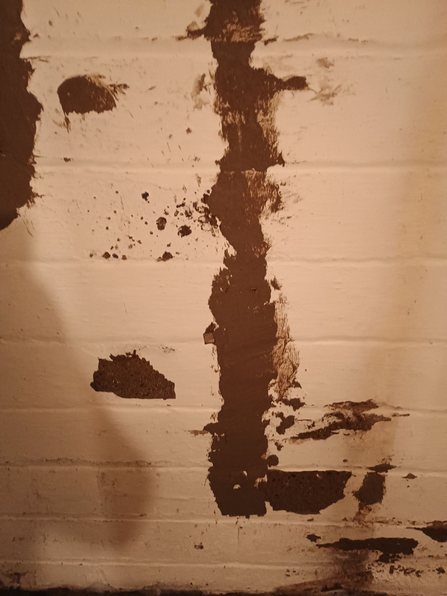 Updating Taylor's Waterproofing System by Waterproofing Northeast