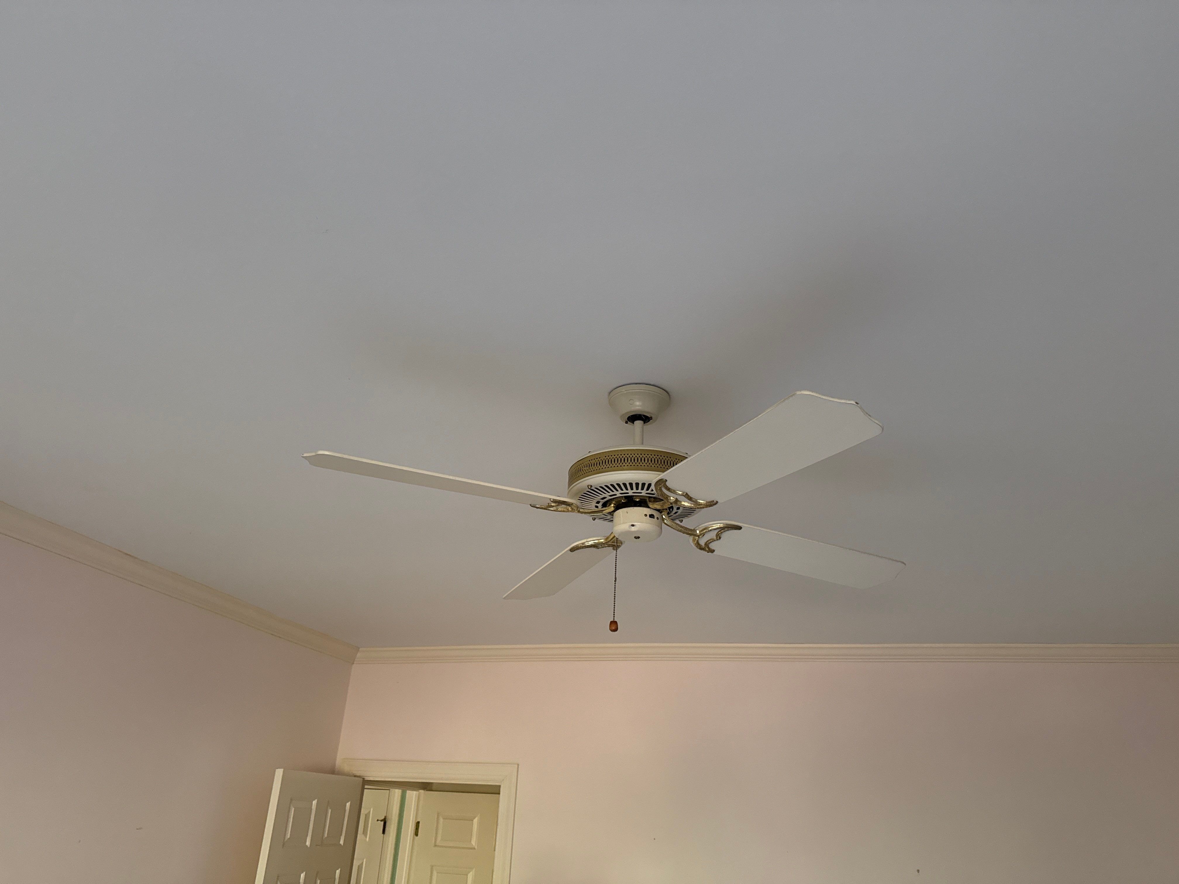 Sleepy Terrapin by TC Construction LLC